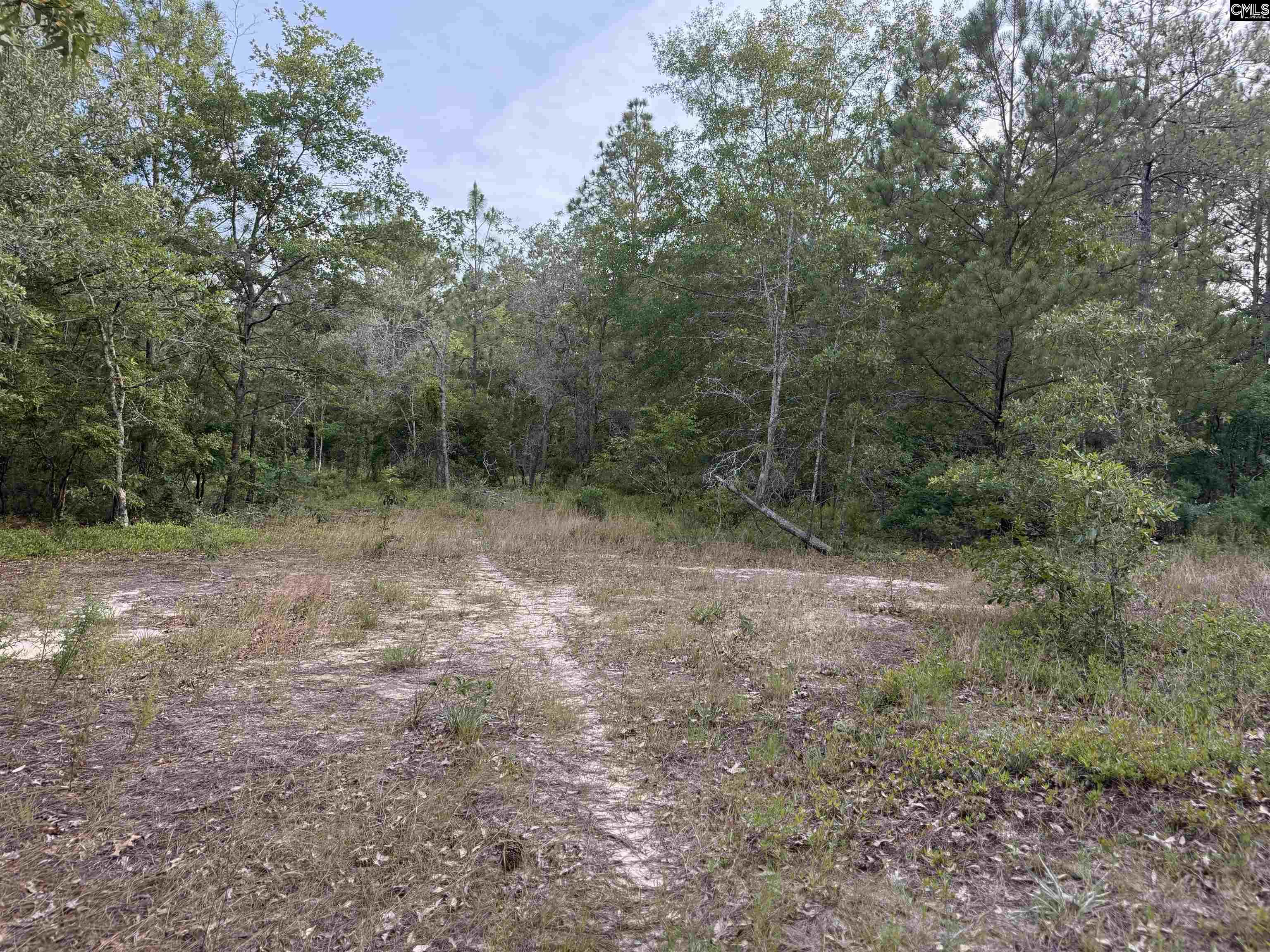 Lot 11 Russell Rowe Road, Leesville, South Carolina image 1
