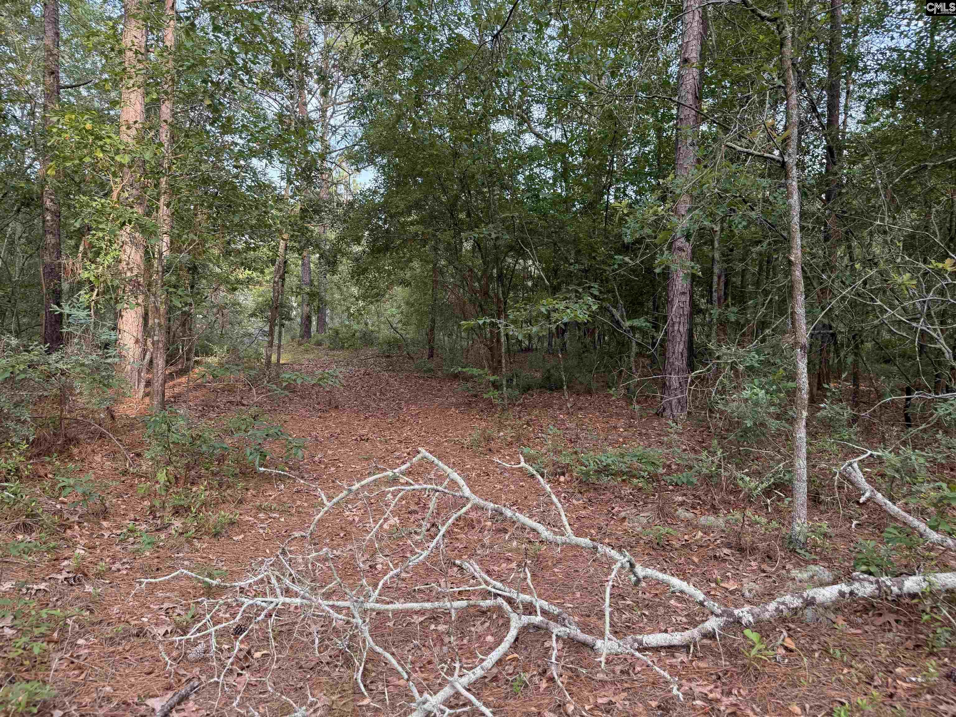 Lot 11 Russell Rowe Road, Leesville, South Carolina image 2