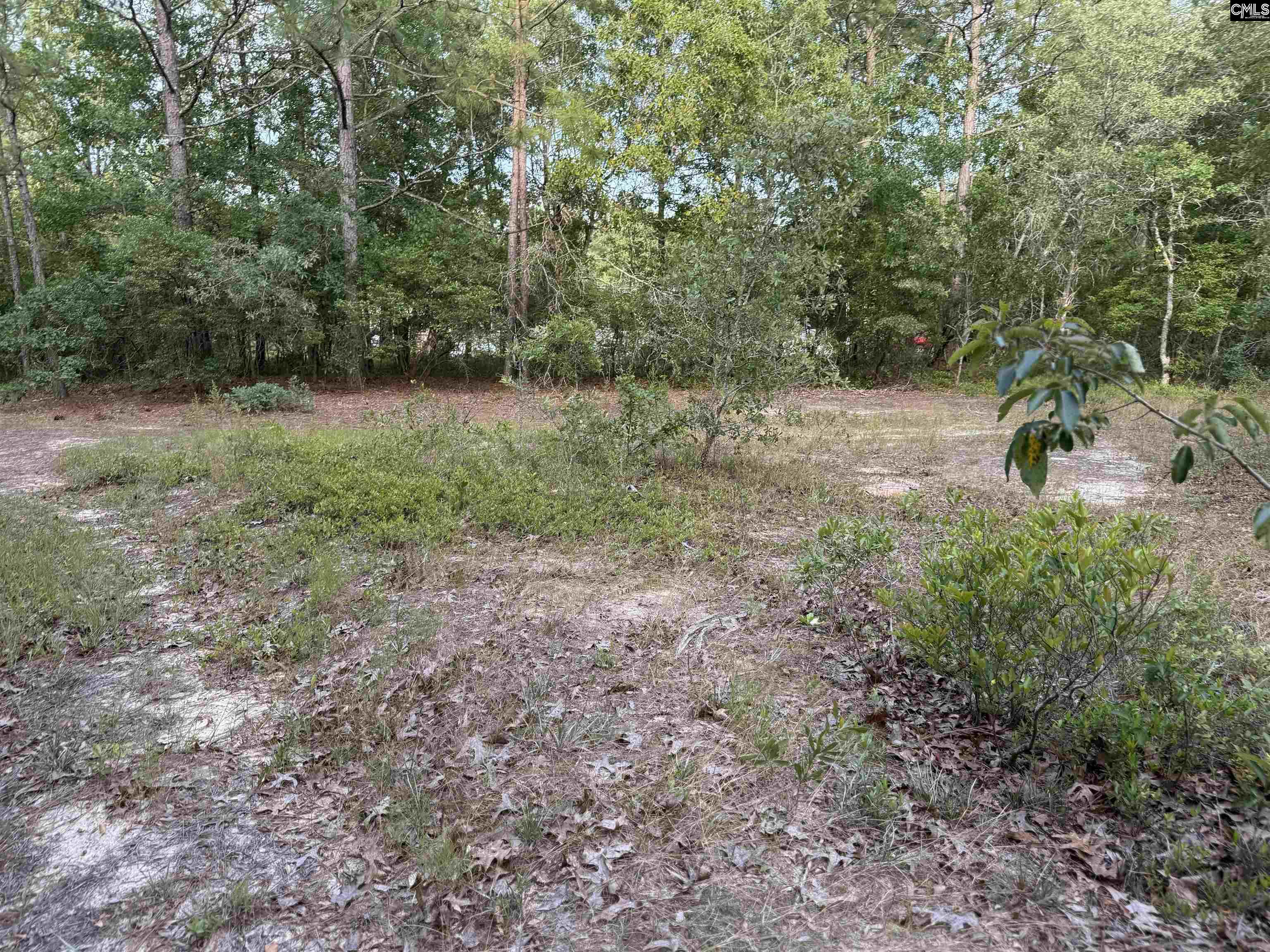 Lot 11 Russell Rowe Road, Leesville, South Carolina image 4