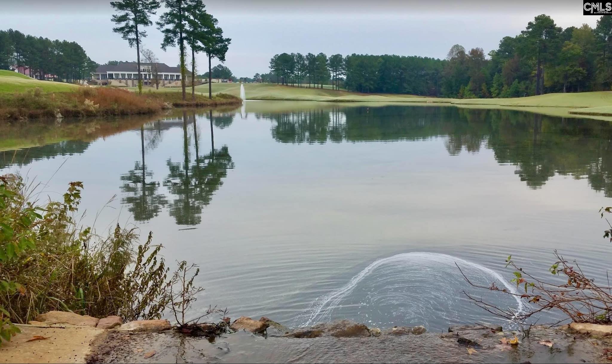 1056 Coogler Crossing Drive, Blythewood, South Carolina image 14