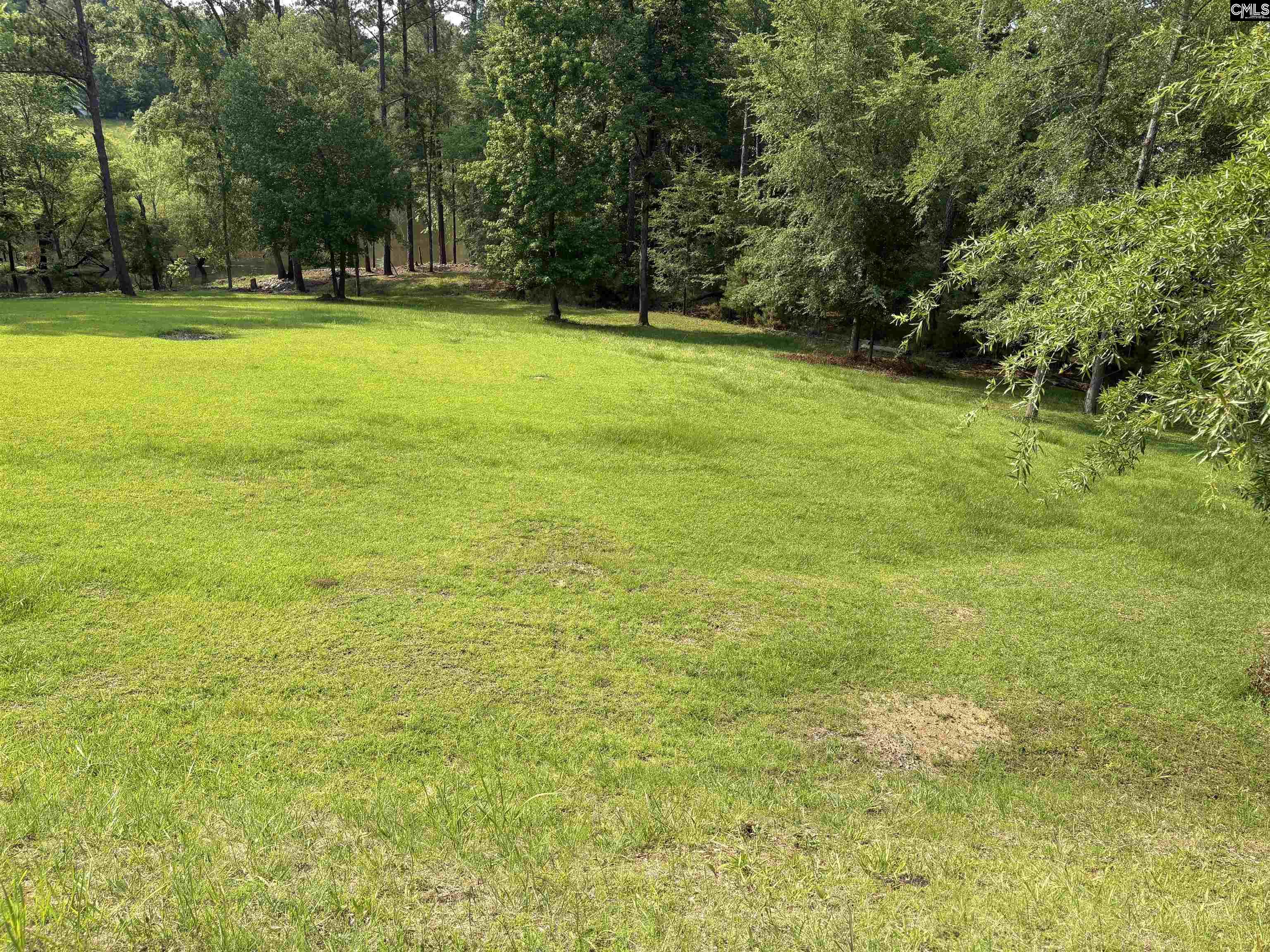2665 Rolling Hills Road, Ridgeway, South Carolina image 3