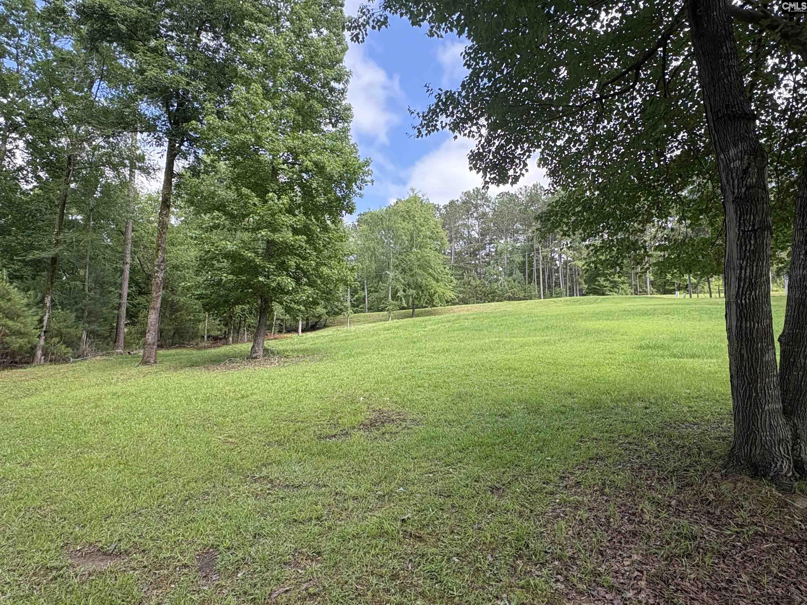2665 Rolling Hills Road, Ridgeway, South Carolina image 4