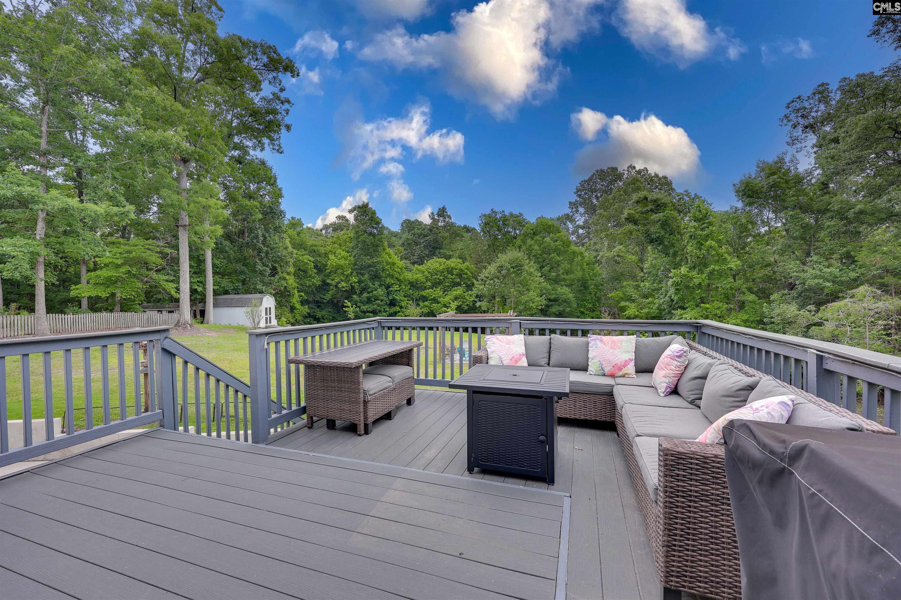 10 Queen Oak Court, Irmo, South Carolina image 15