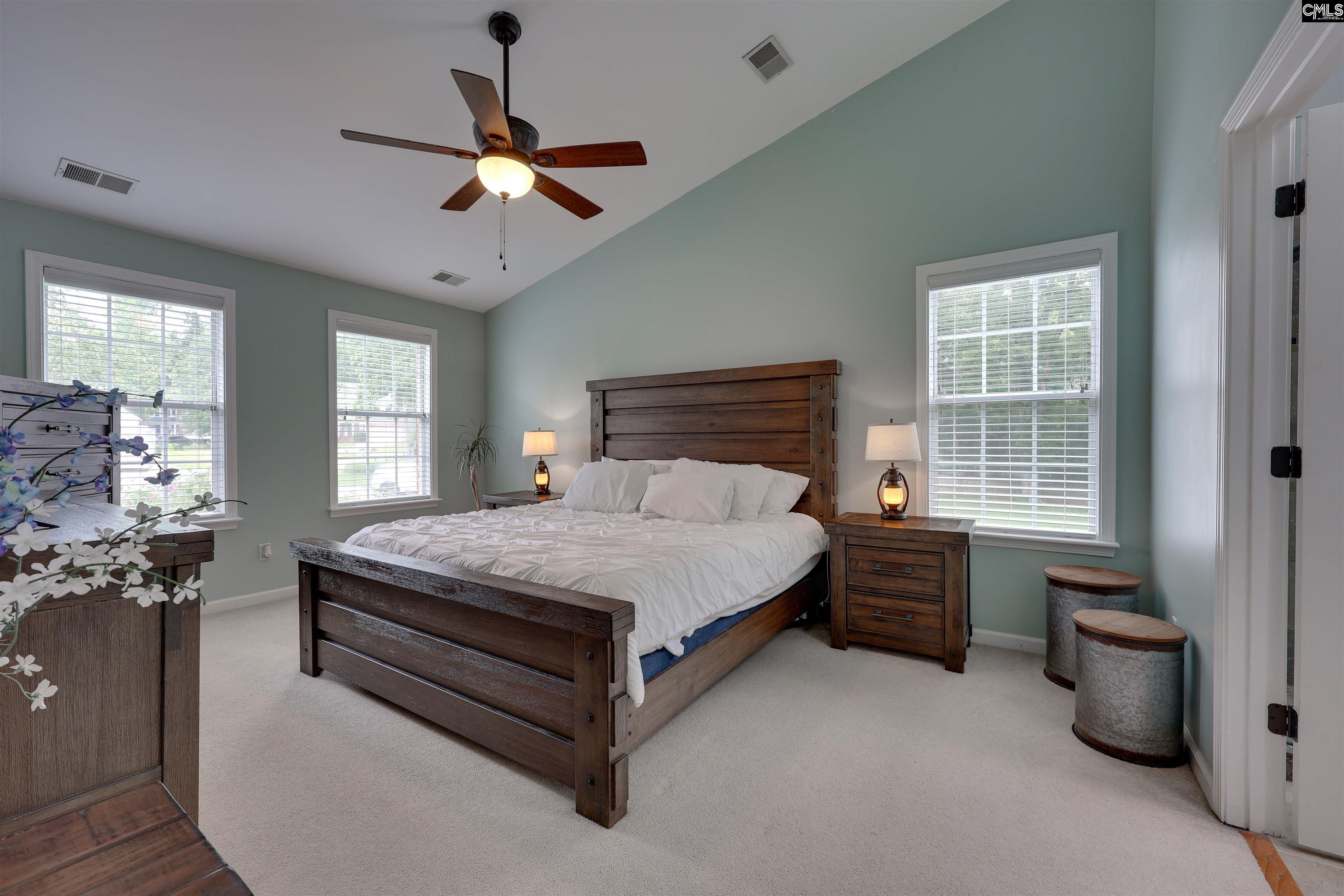 10 Queen Oak Court, Irmo, South Carolina image 35