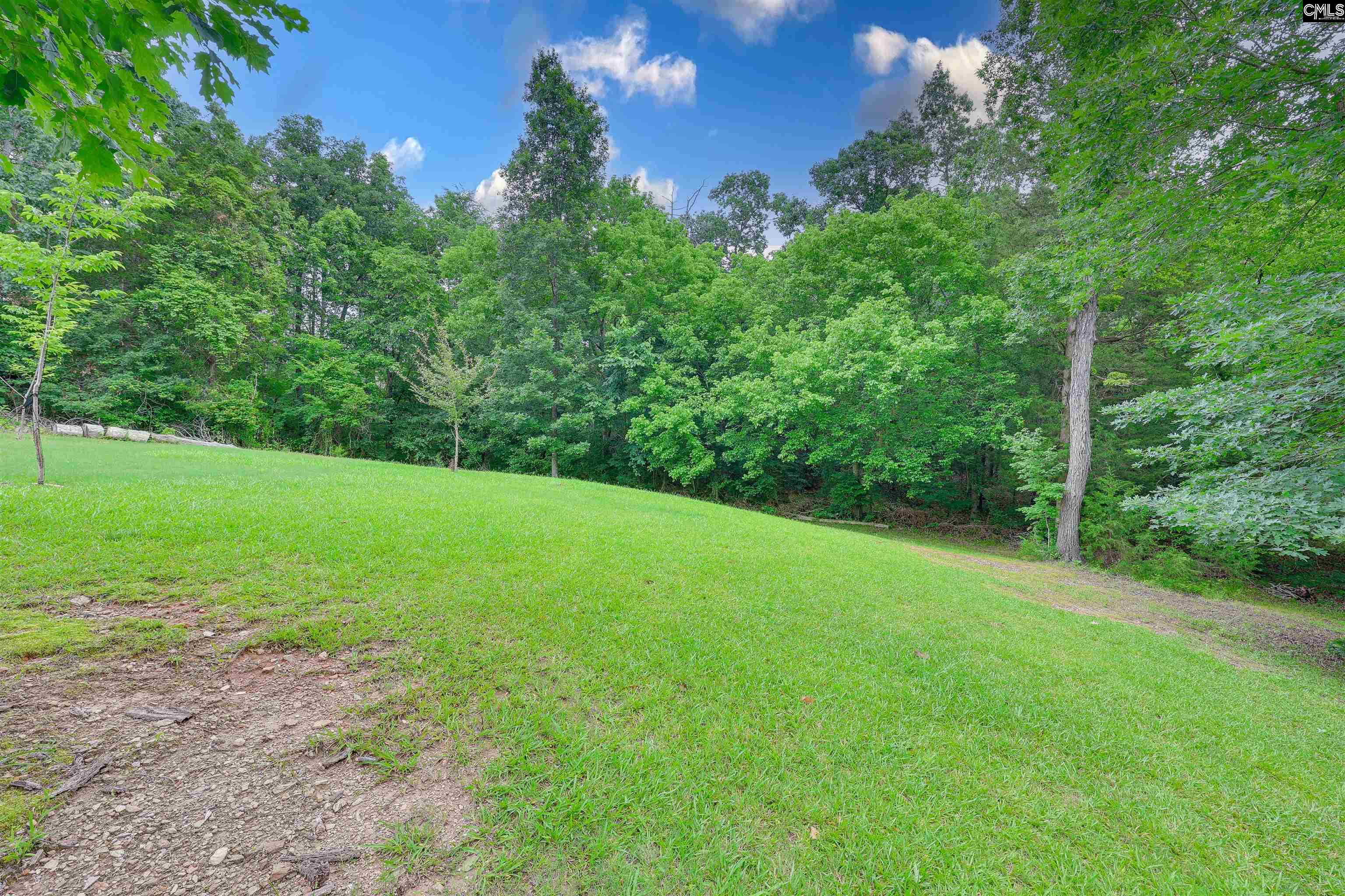 10 Queen Oak Court, Irmo, South Carolina image 8