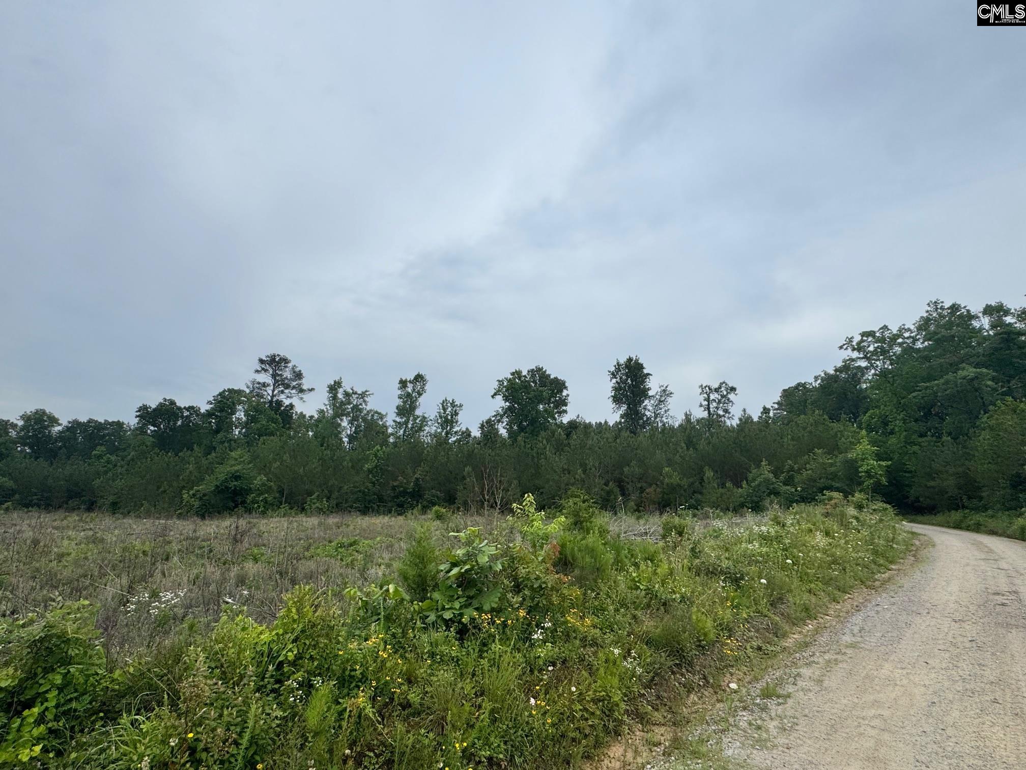 Ebb Mack Road, Saluda, South Carolina image 1