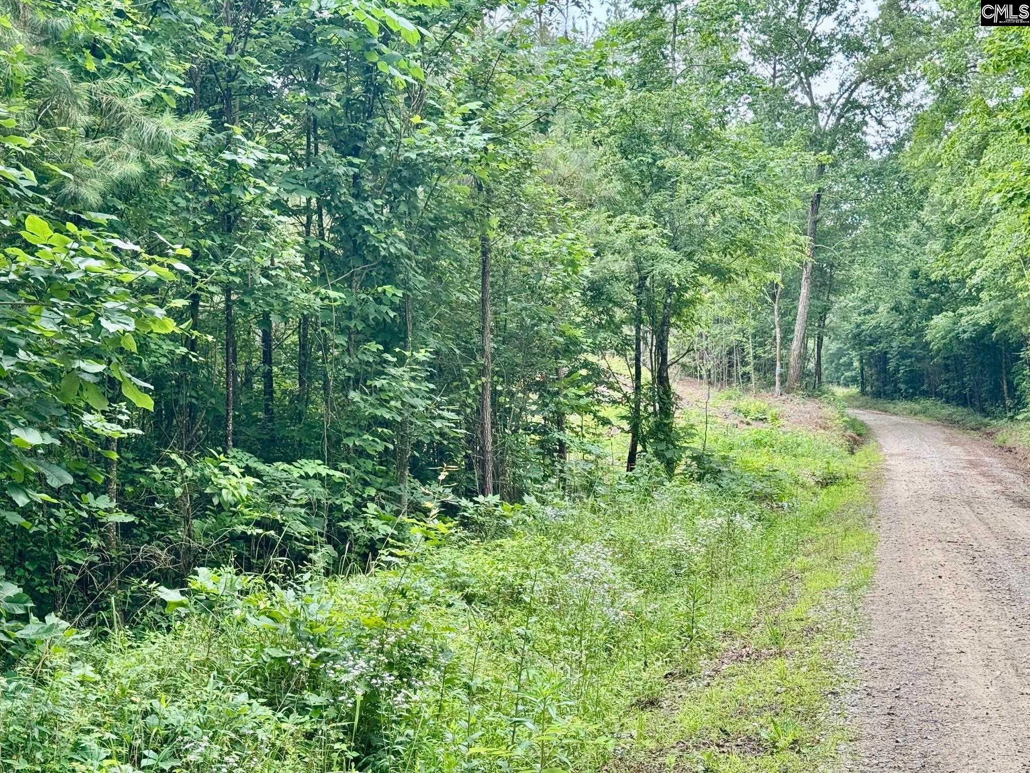 Ebb Mack Road, Saluda, South Carolina image 3