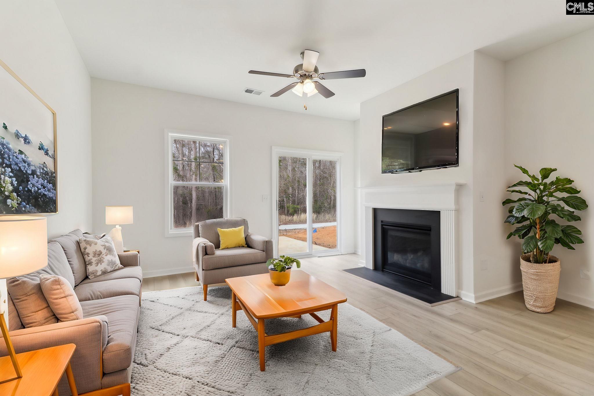 518 Griffon Drive, Chapin, South Carolina image 3