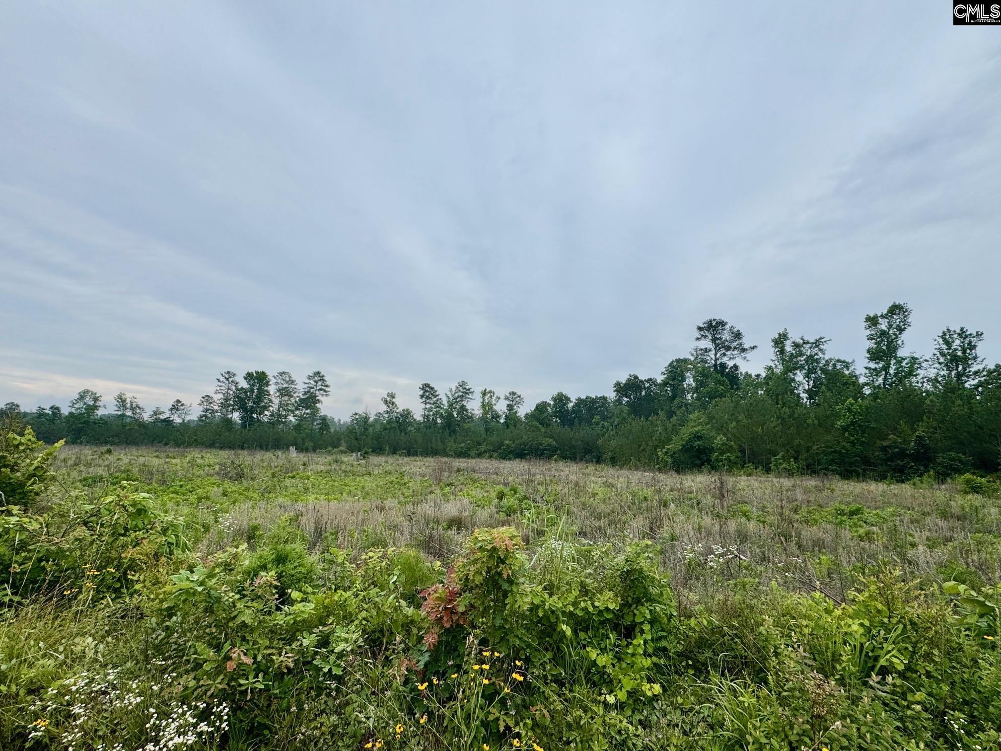 Ebb Mack Road, Saluda, South Carolina image 1