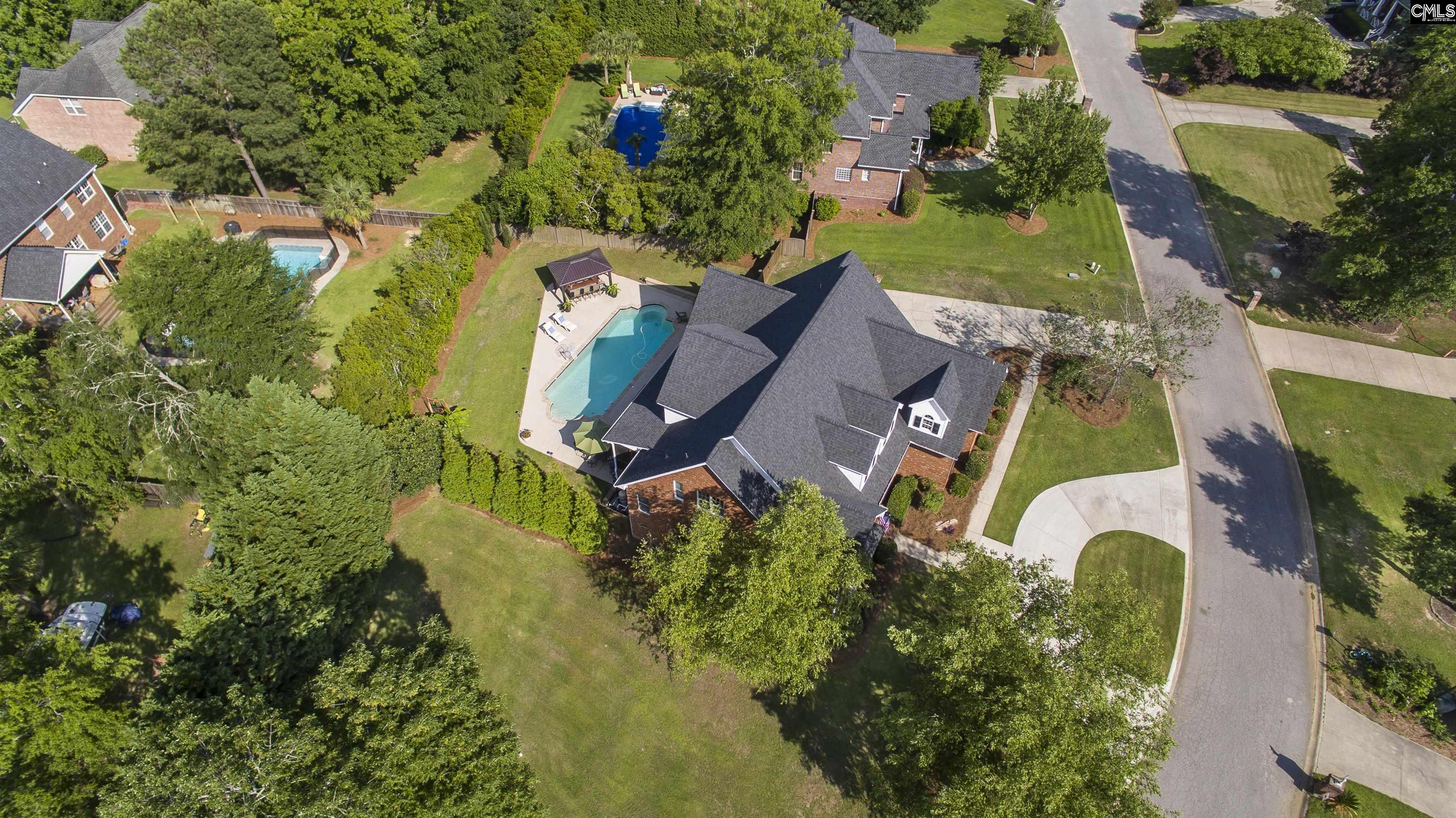 15 Clay Court, Chapin, South Carolina image 48