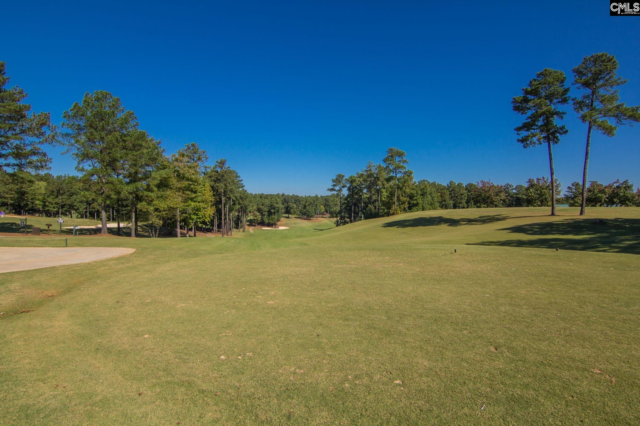 605 Scarlet Baby Drive, Blythewood, South Carolina image 46