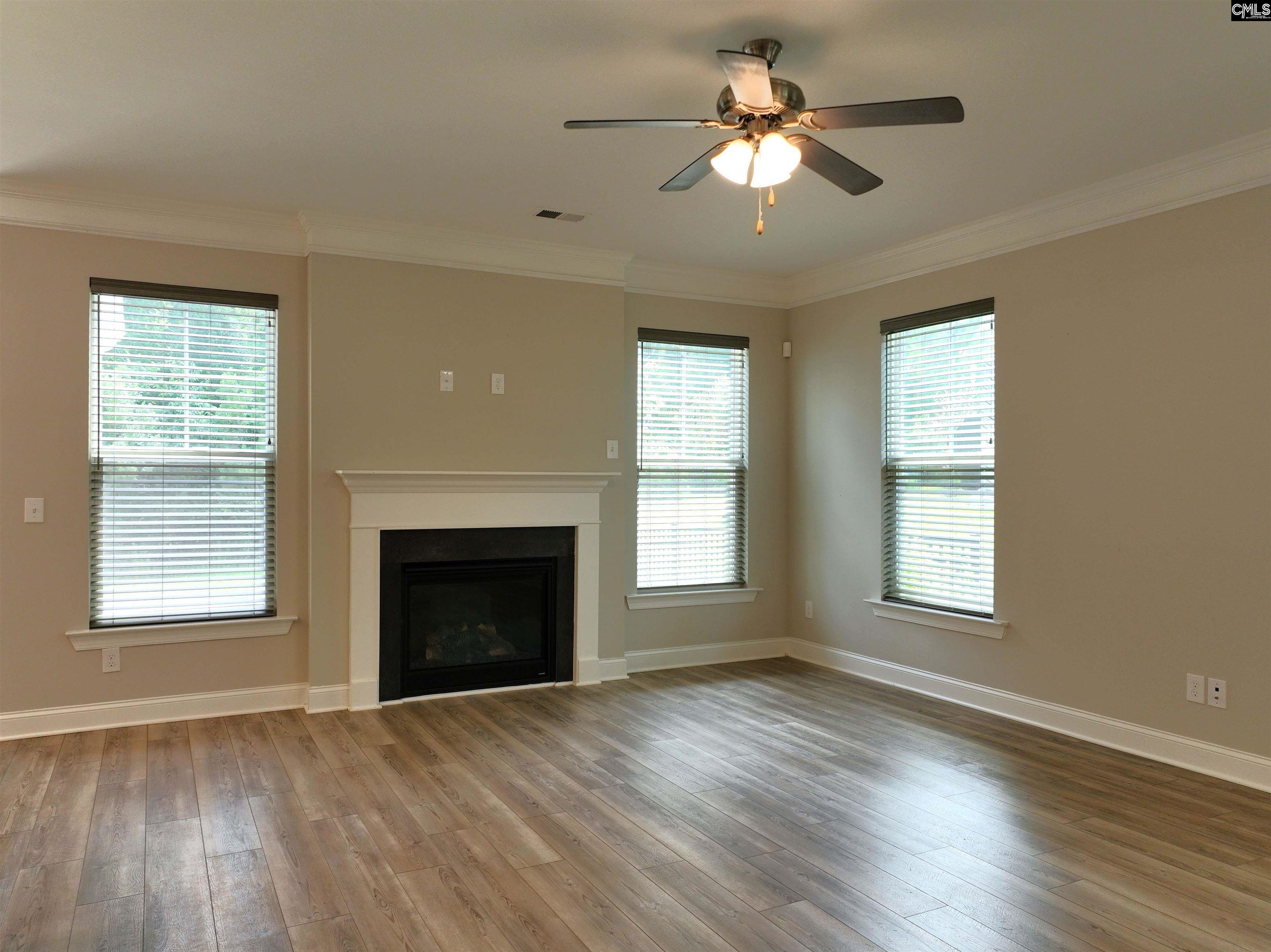 247 Laurelbrook Dr, Chapin, South Carolina image 11