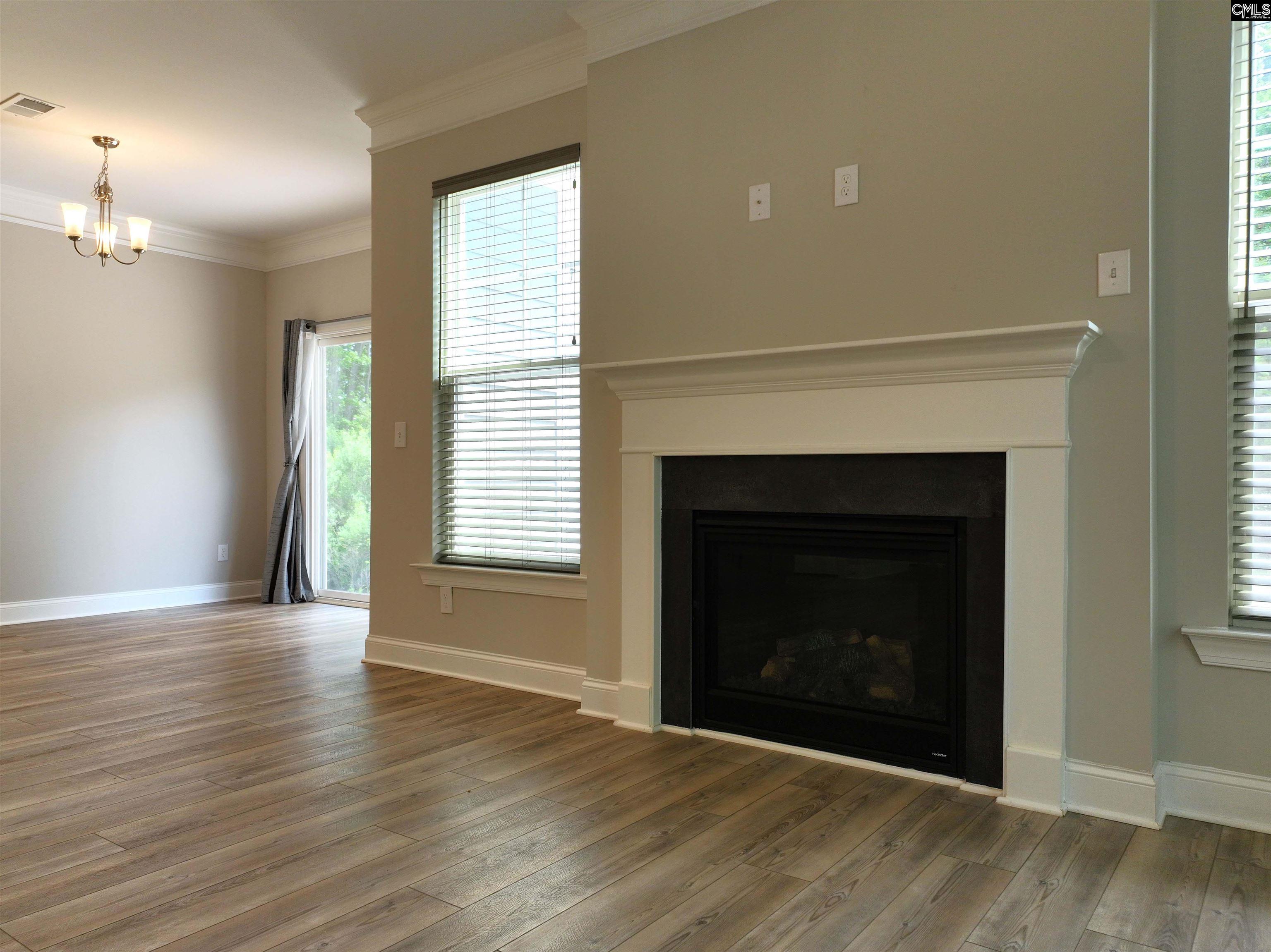 247 Laurelbrook Dr, Chapin, South Carolina image 13