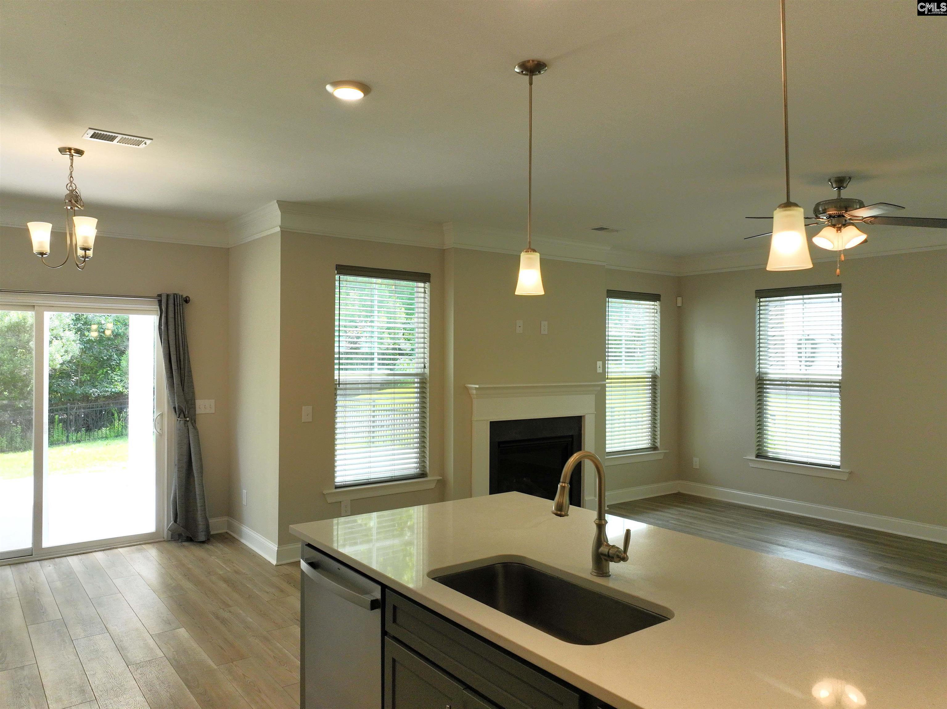 247 Laurelbrook Dr, Chapin, South Carolina image 19