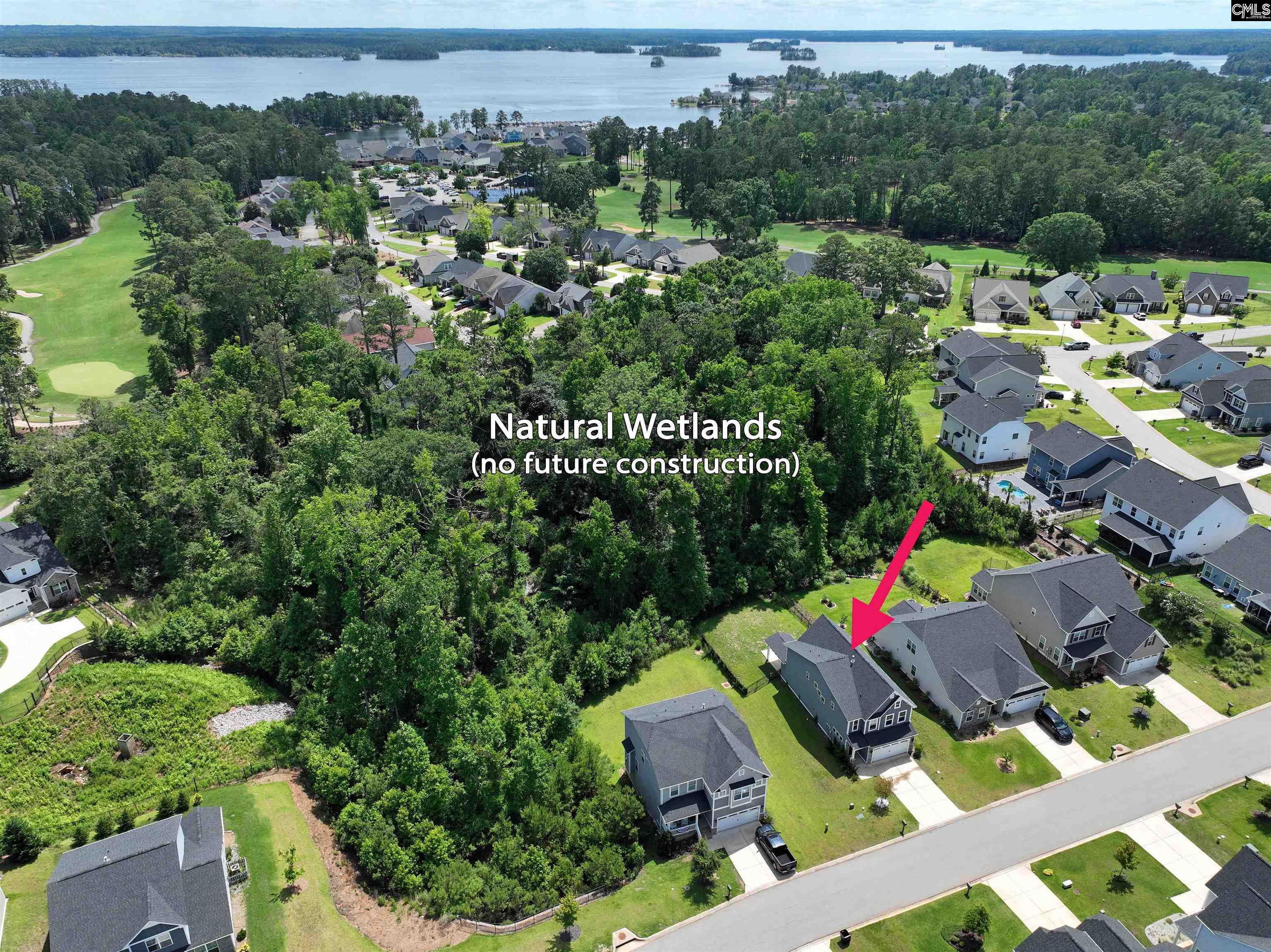 247 Laurelbrook Dr, Chapin, South Carolina image 23