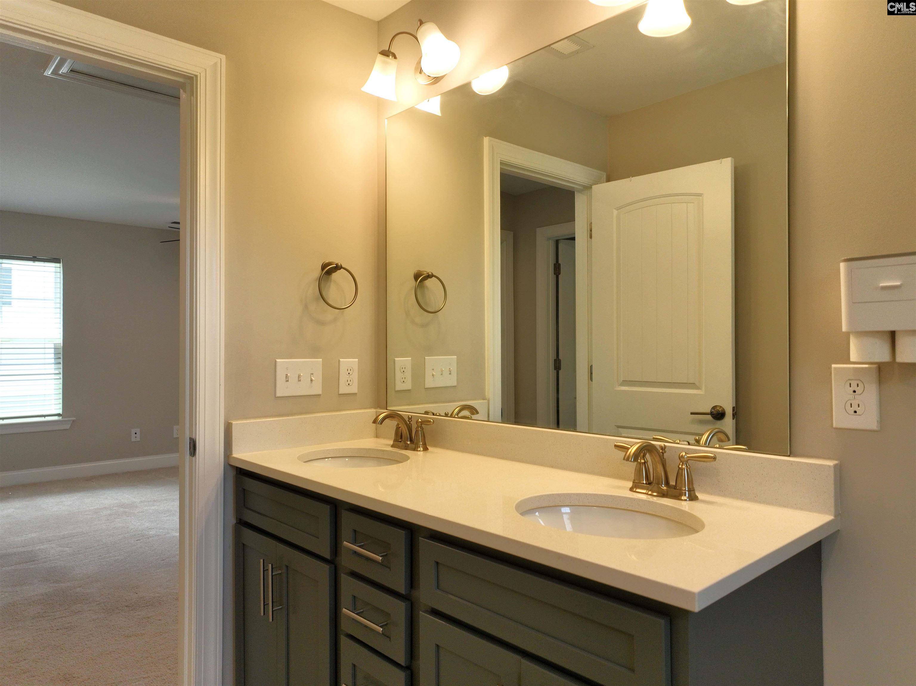 247 Laurelbrook Dr, Chapin, South Carolina image 38