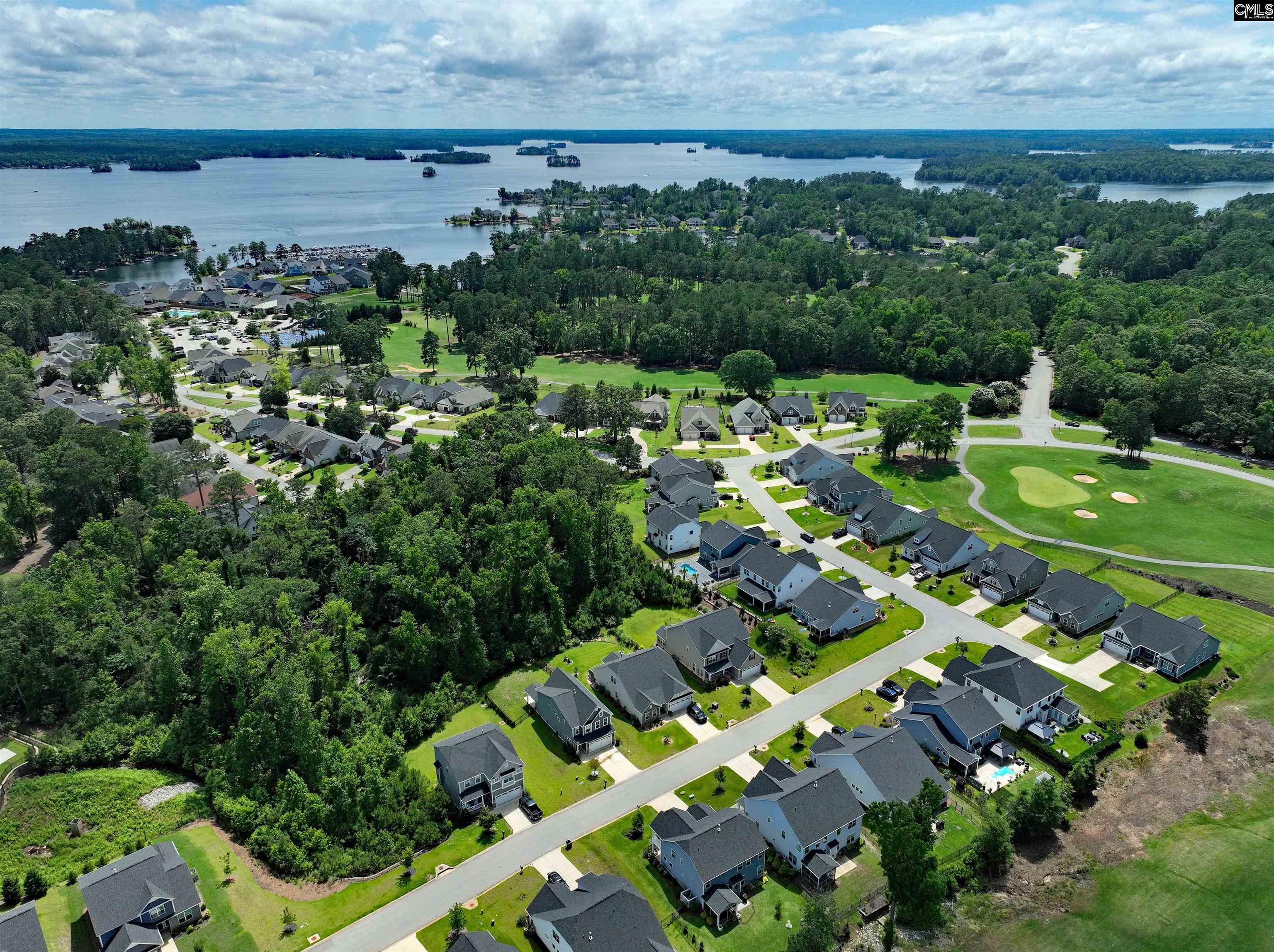 247 Laurelbrook Dr, Chapin, South Carolina image 42