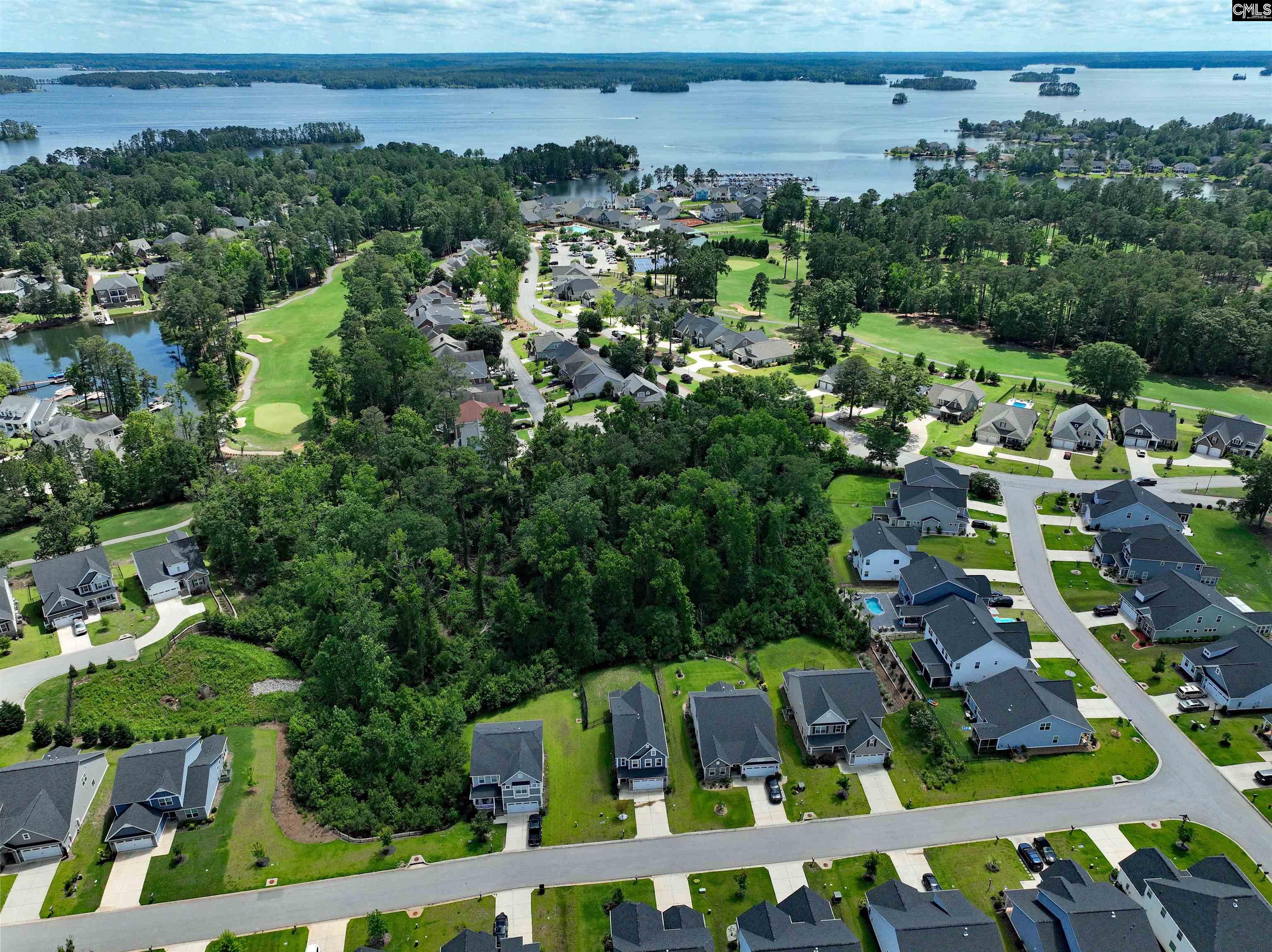 247 Laurelbrook Dr, Chapin, South Carolina image 47