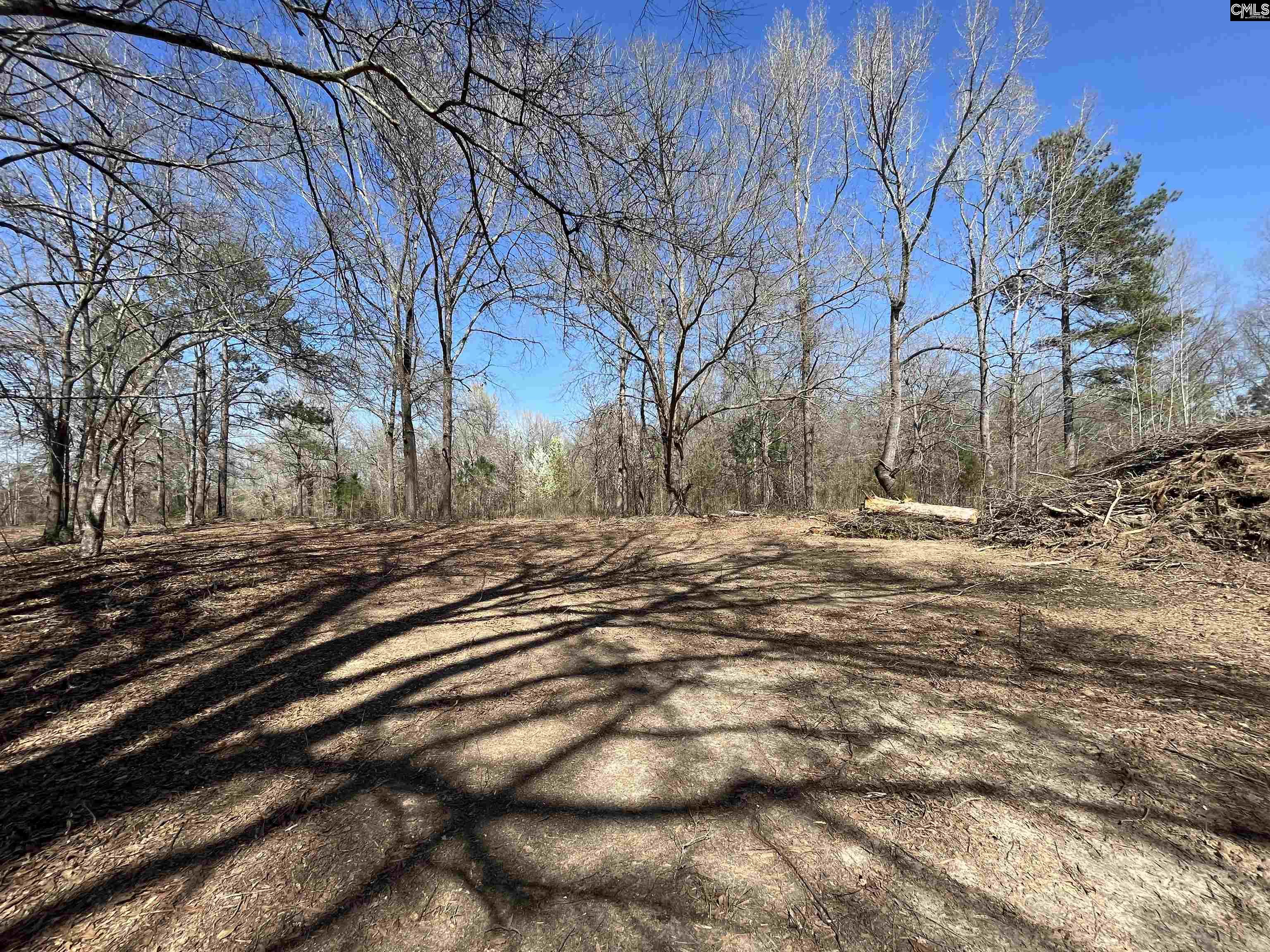 88C Tombfield Road, Camden, South Carolina image 49