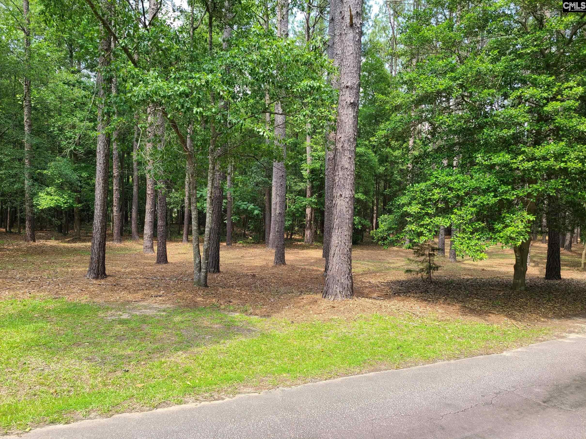 2003 Springdale Drive, Camden, South Carolina image 8