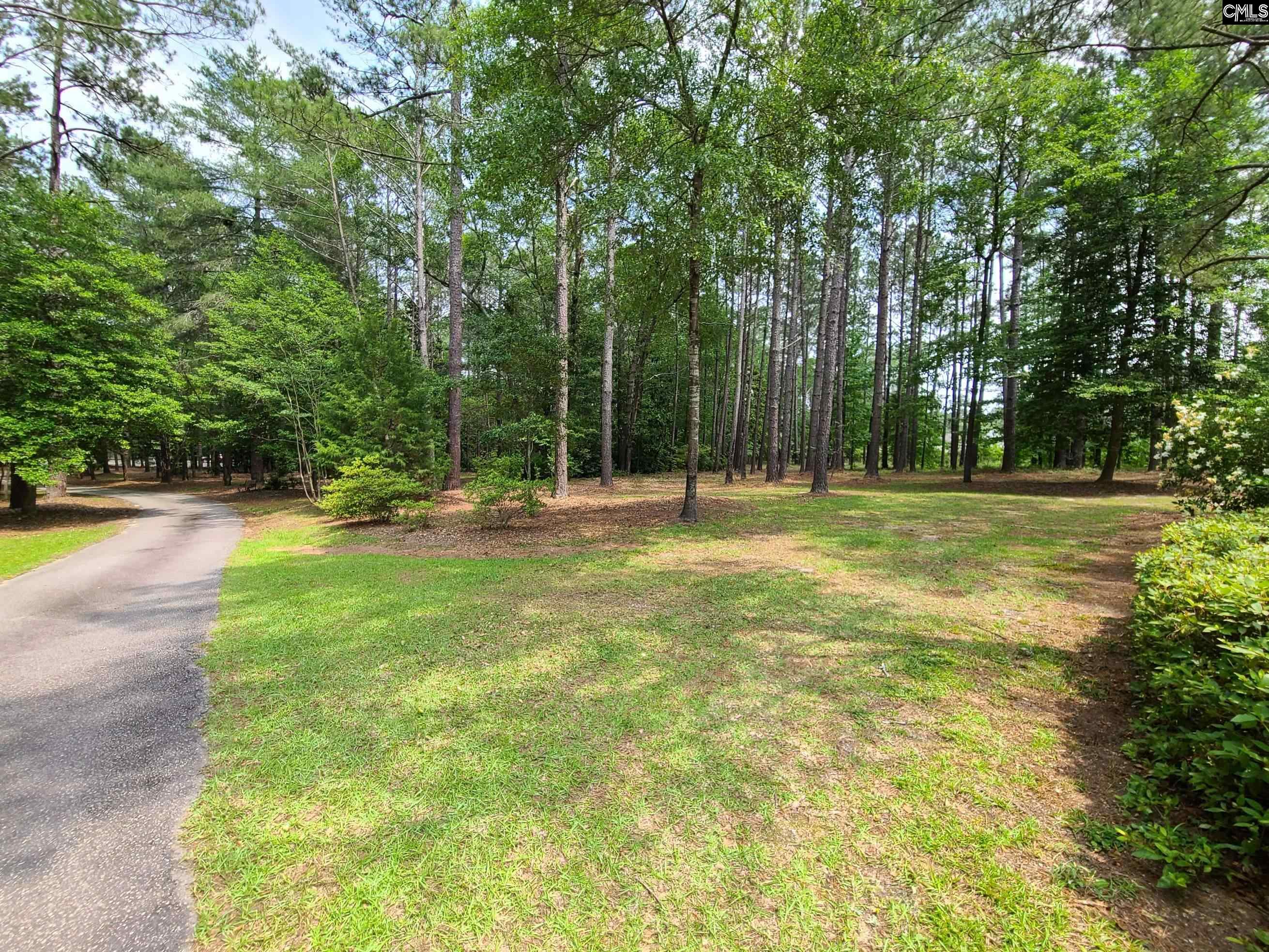 2003 Springdale Drive, Camden, South Carolina image 9