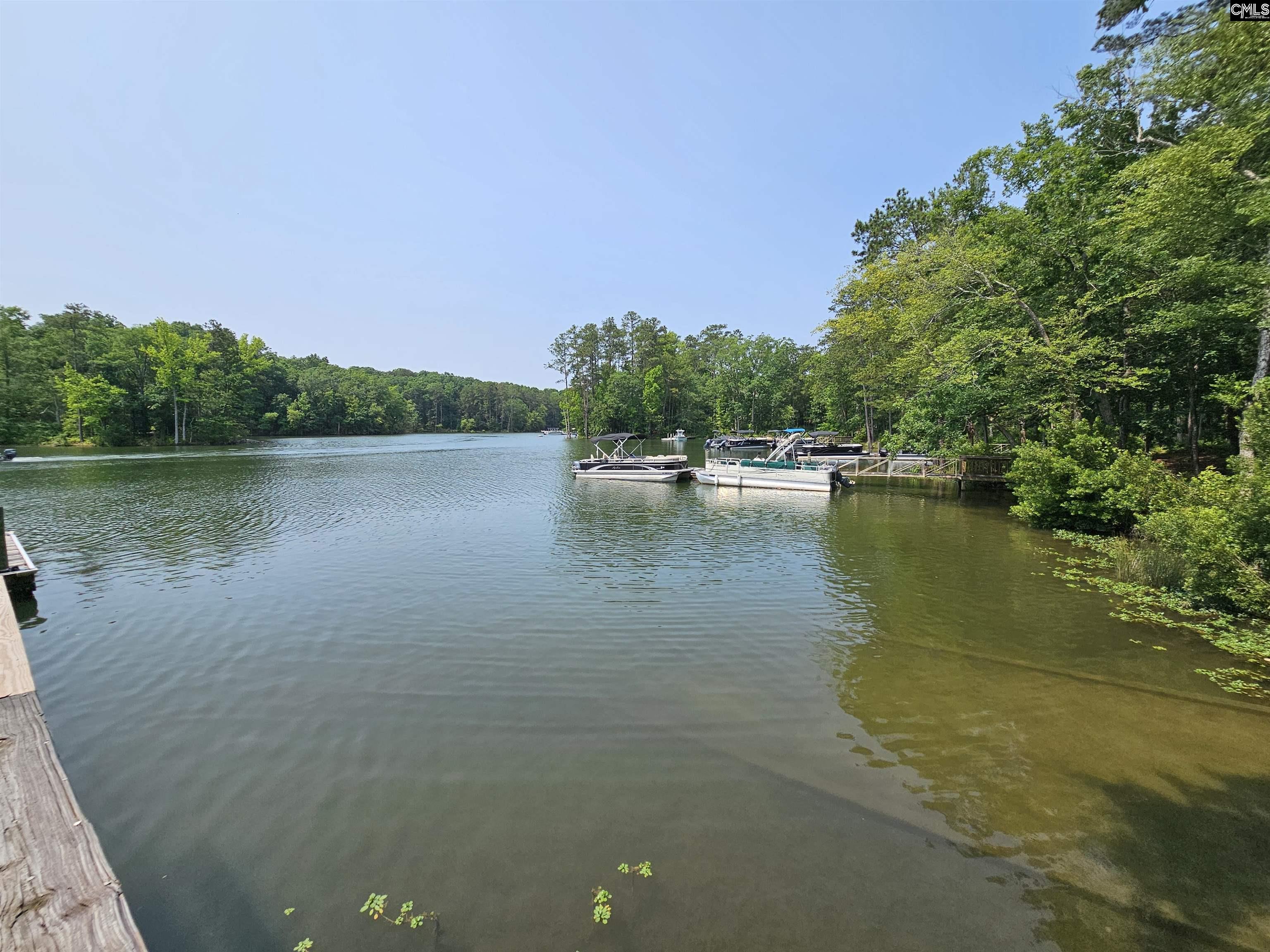 112 Sandlapper Way Lexington, SC 29072