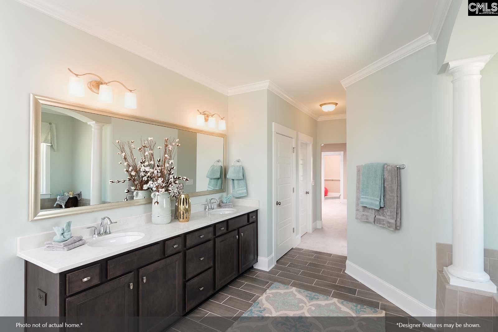 2355 Hadley Crossing, Chapin, South Carolina image 12