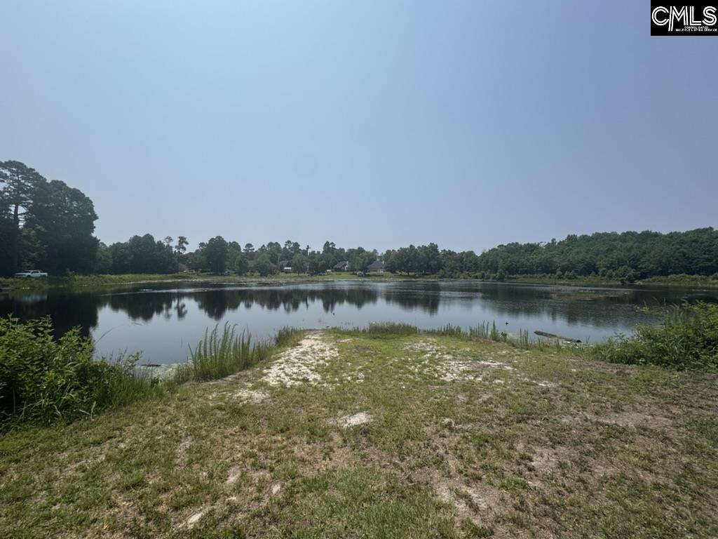 Mossborough Drive, West Columbia, South Carolina image 2