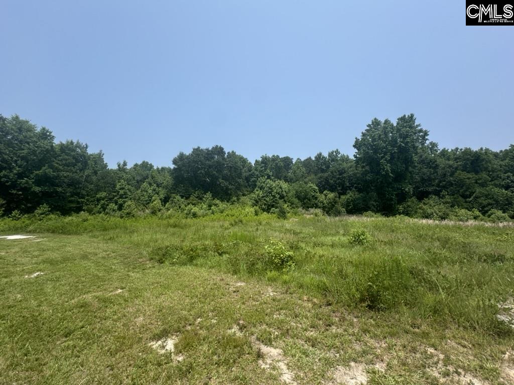 Mossborough Drive, West Columbia, South Carolina image 11