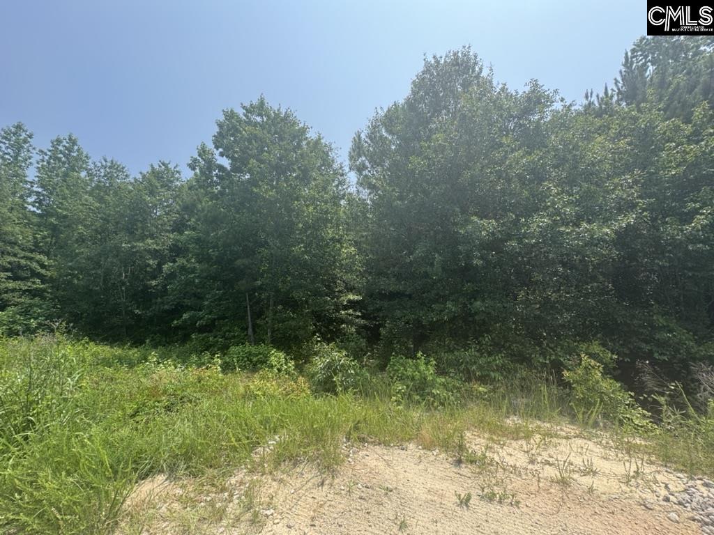 Mossborough Drive, West Columbia, South Carolina image 12