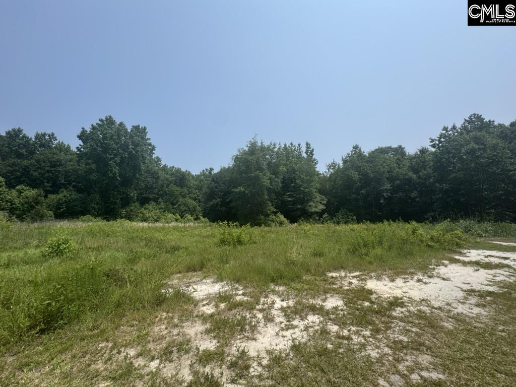 Mossborough Drive, West Columbia, South Carolina image 14