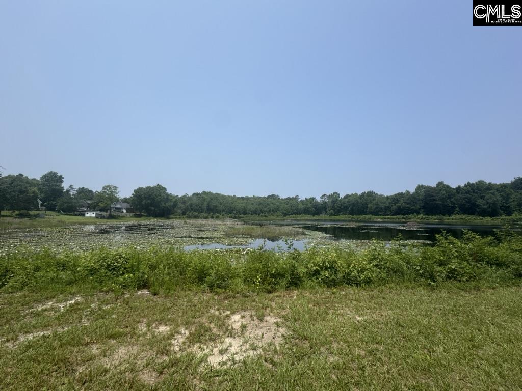 Mossborough Drive, West Columbia, South Carolina image 17