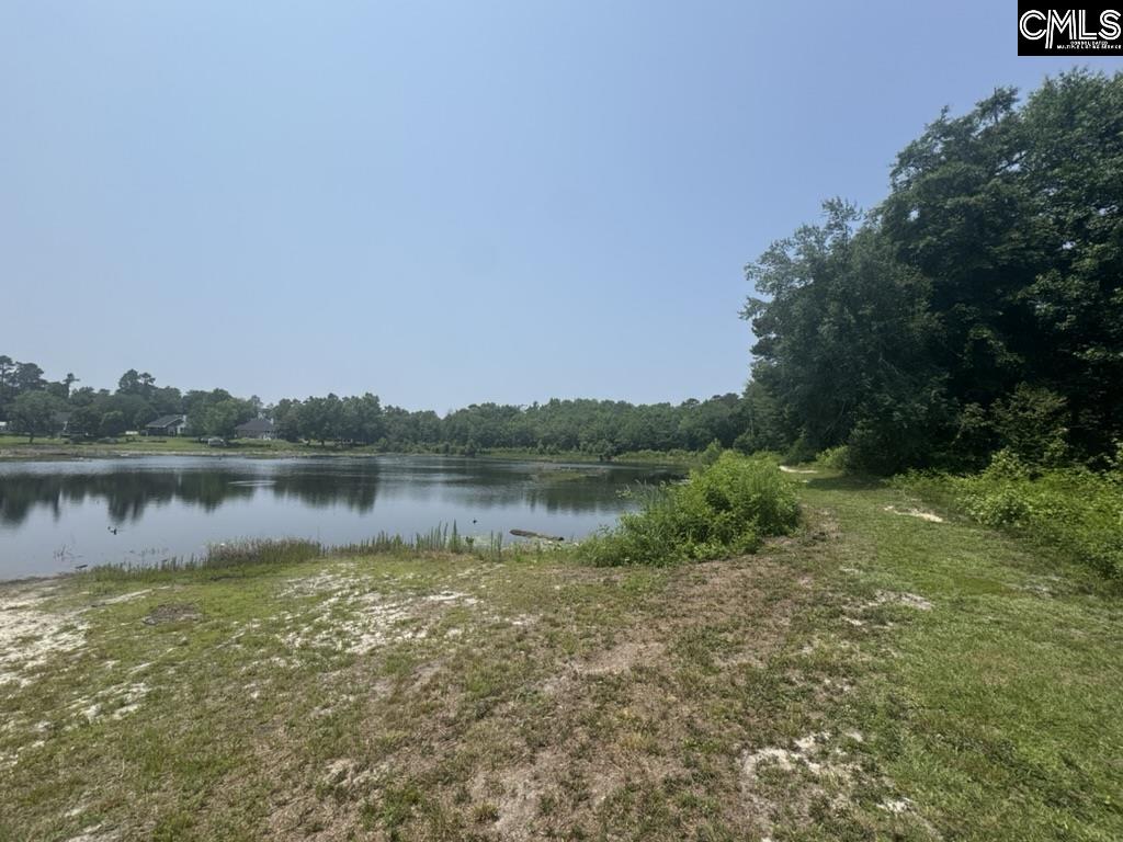 Mossborough Drive, West Columbia, South Carolina image 22