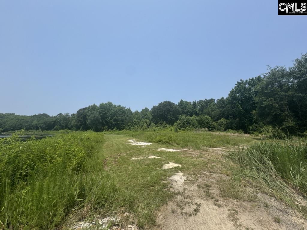 Mossborough Drive, West Columbia, South Carolina image 23