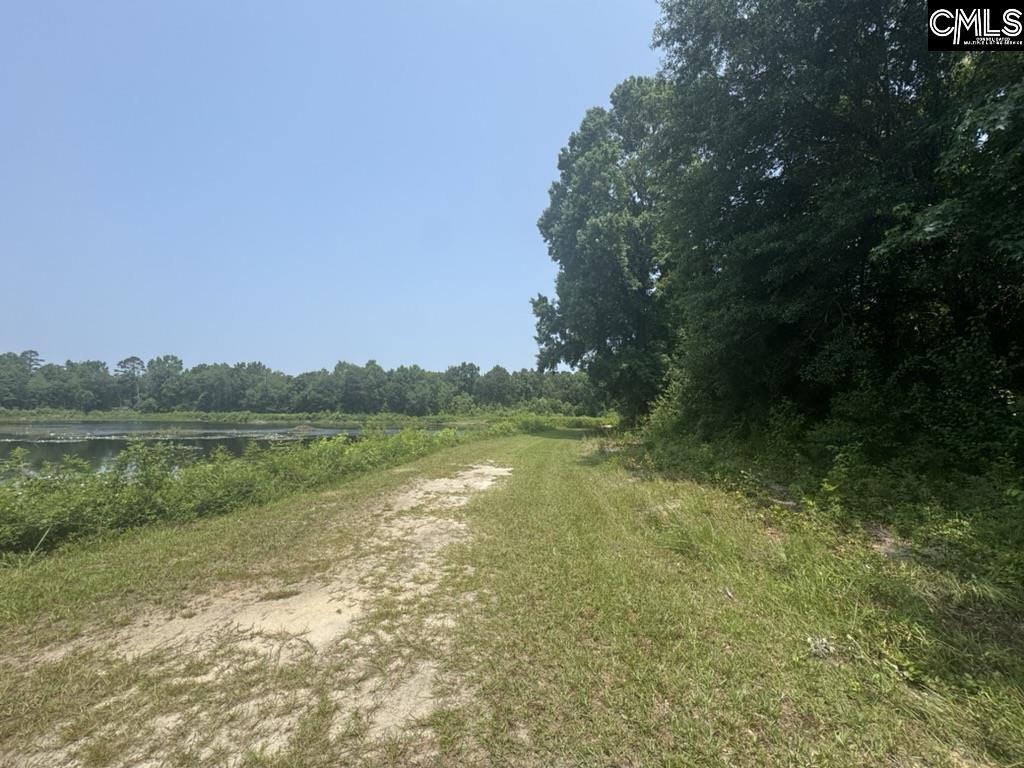 Mossborough Drive, West Columbia, South Carolina image 4