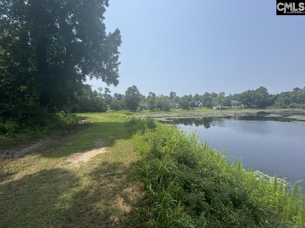 Mossborough Drive, West Columbia, South Carolina image 6