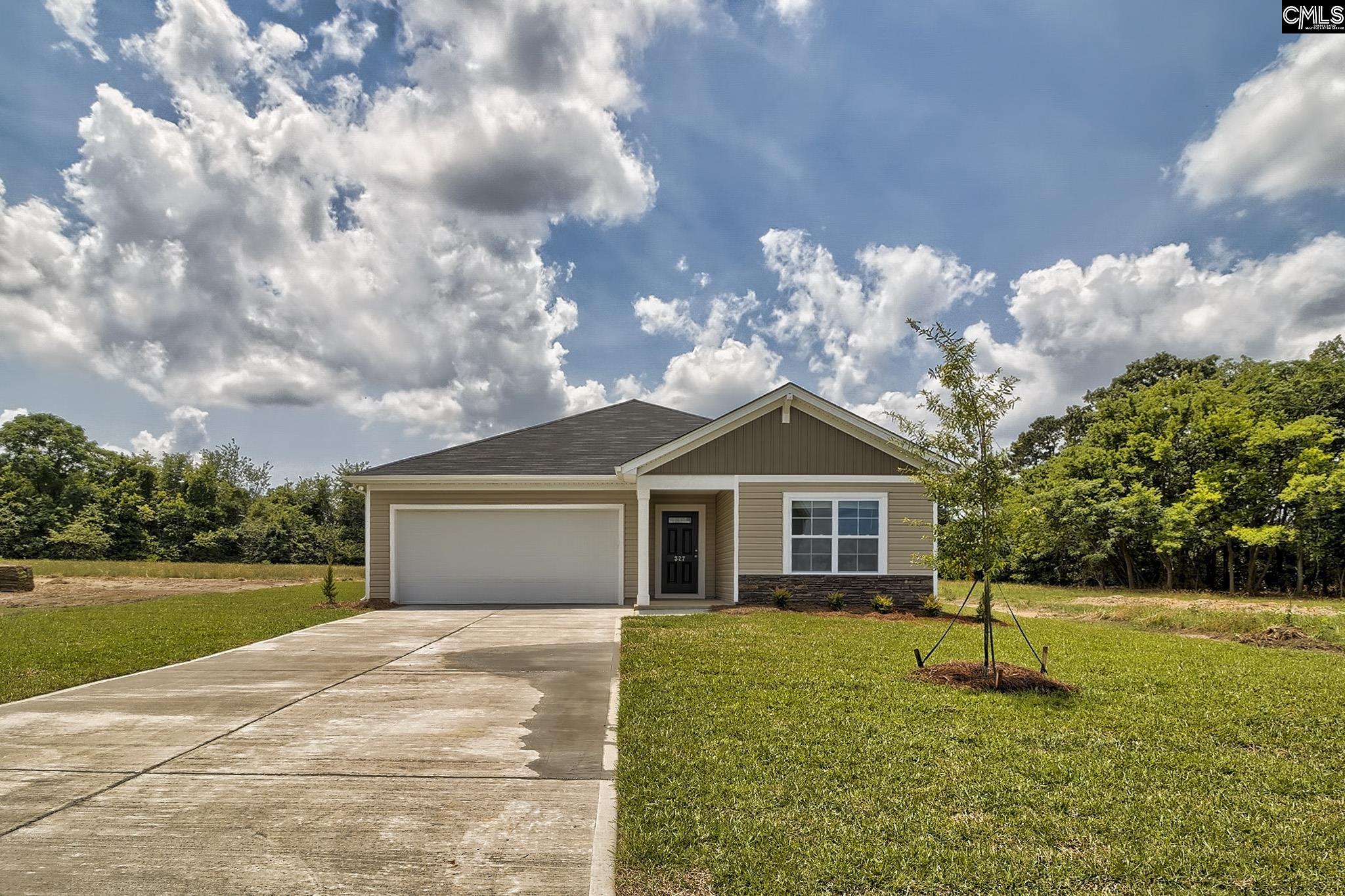 111 Calm Citadel Drive, Pelion, South Carolina image 1