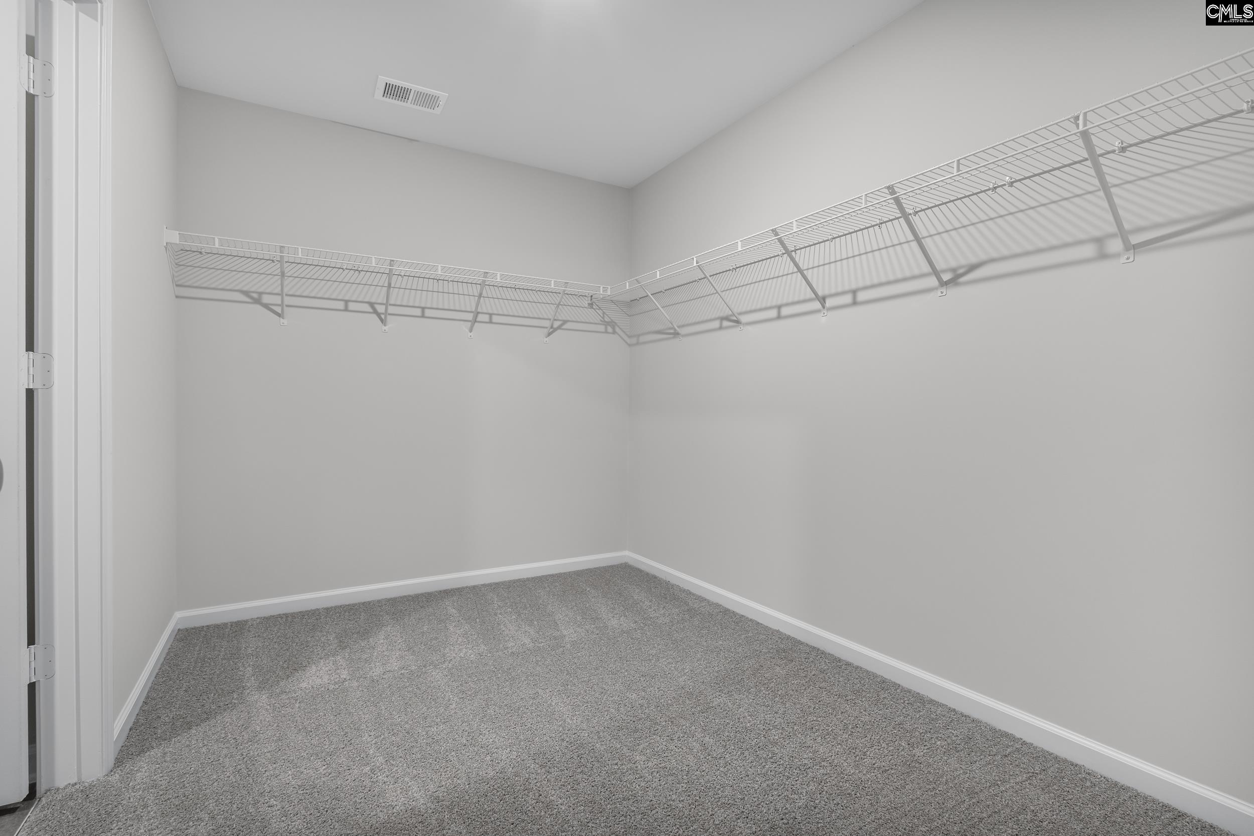 111 Calm Citadel Drive, Pelion, South Carolina image 16