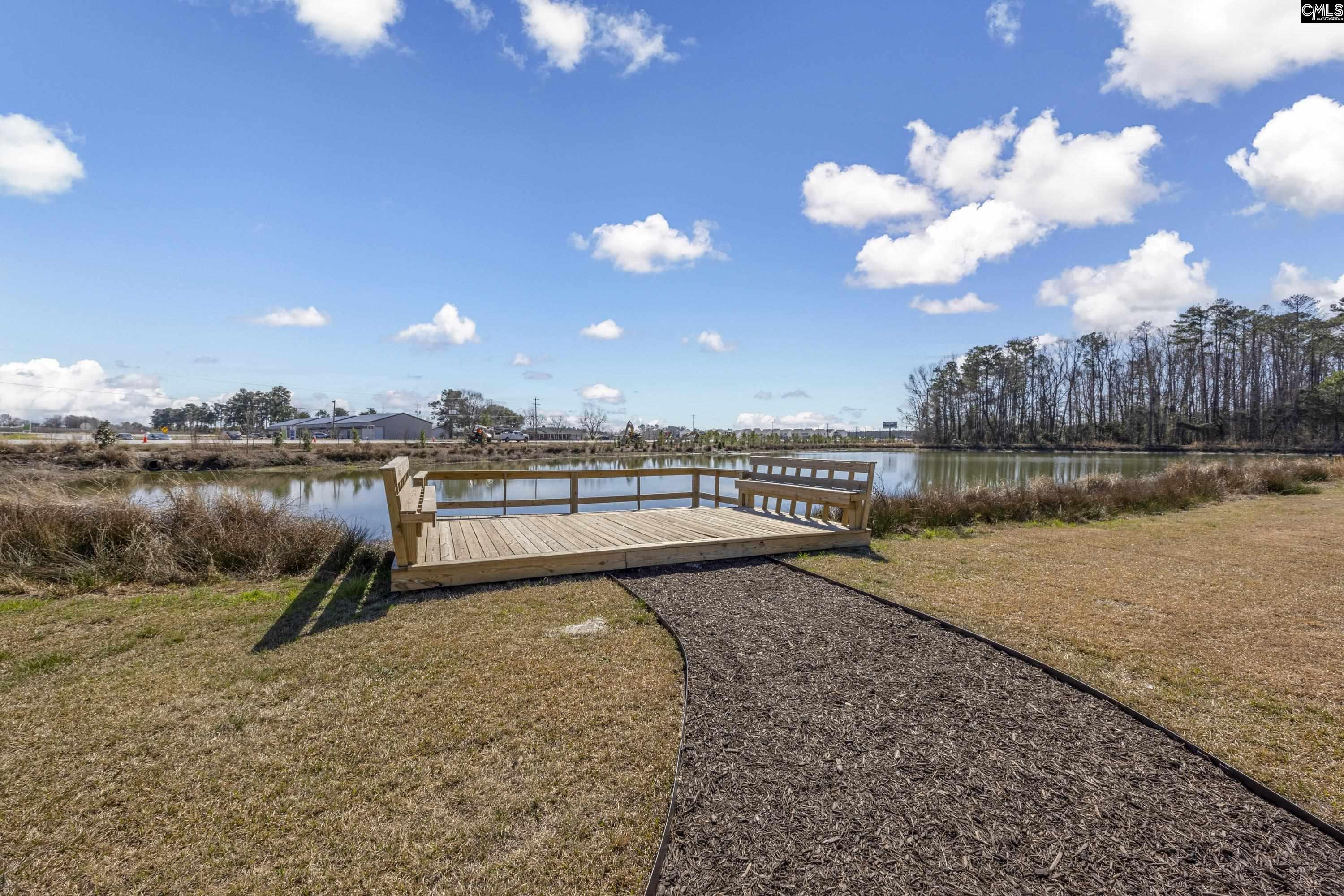 149 Ruby Prince Road, Gilbert, South Carolina image 36