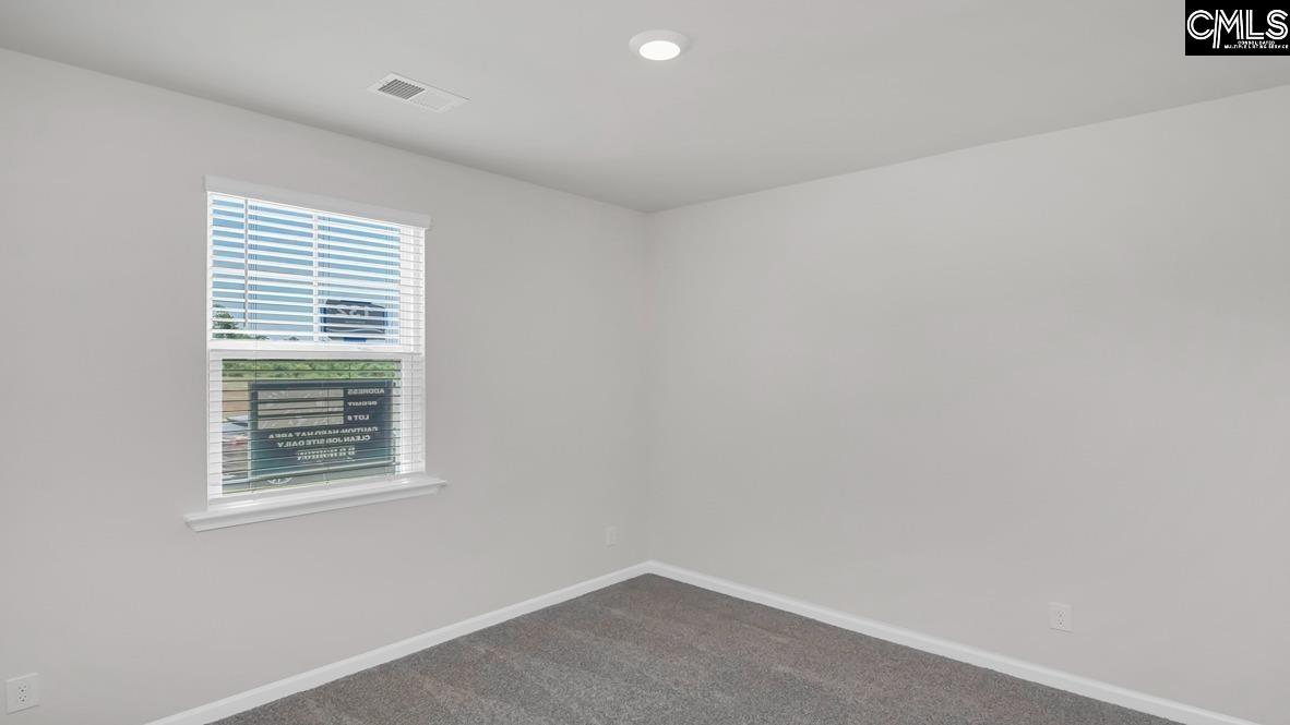 149 Ruby Prince Road, Gilbert, South Carolina image 5