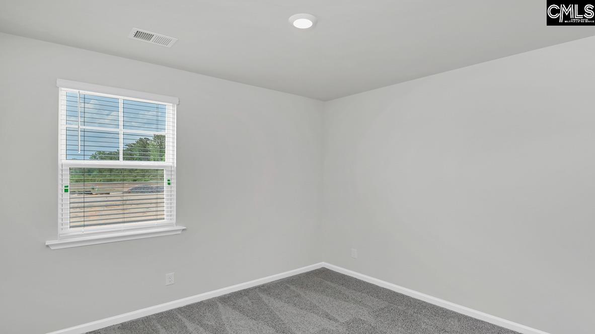 149 Ruby Prince Road, Gilbert, South Carolina image 7
