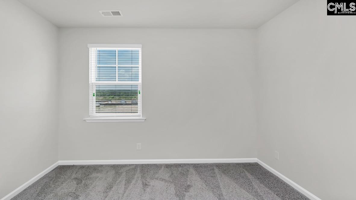 149 Ruby Prince Road, Gilbert, South Carolina image 8