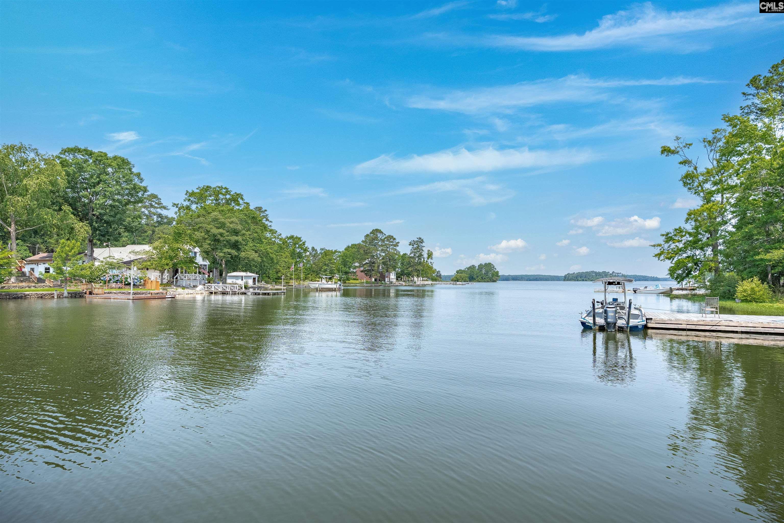 1620 Deep Cove Lane, Gilbert, South Carolina image 1