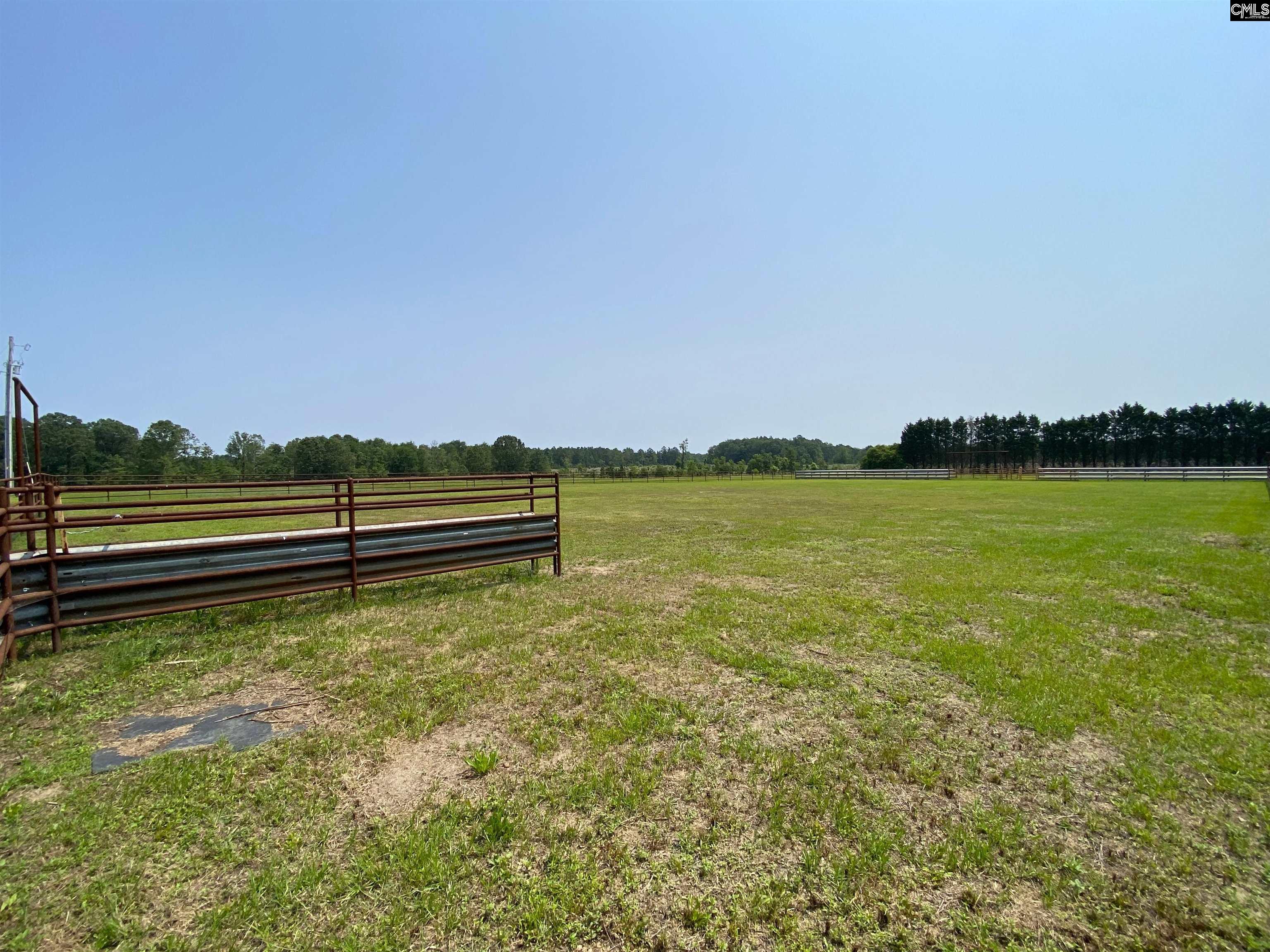 290 Gunter Pond Road, Wagener, South Carolina image 27