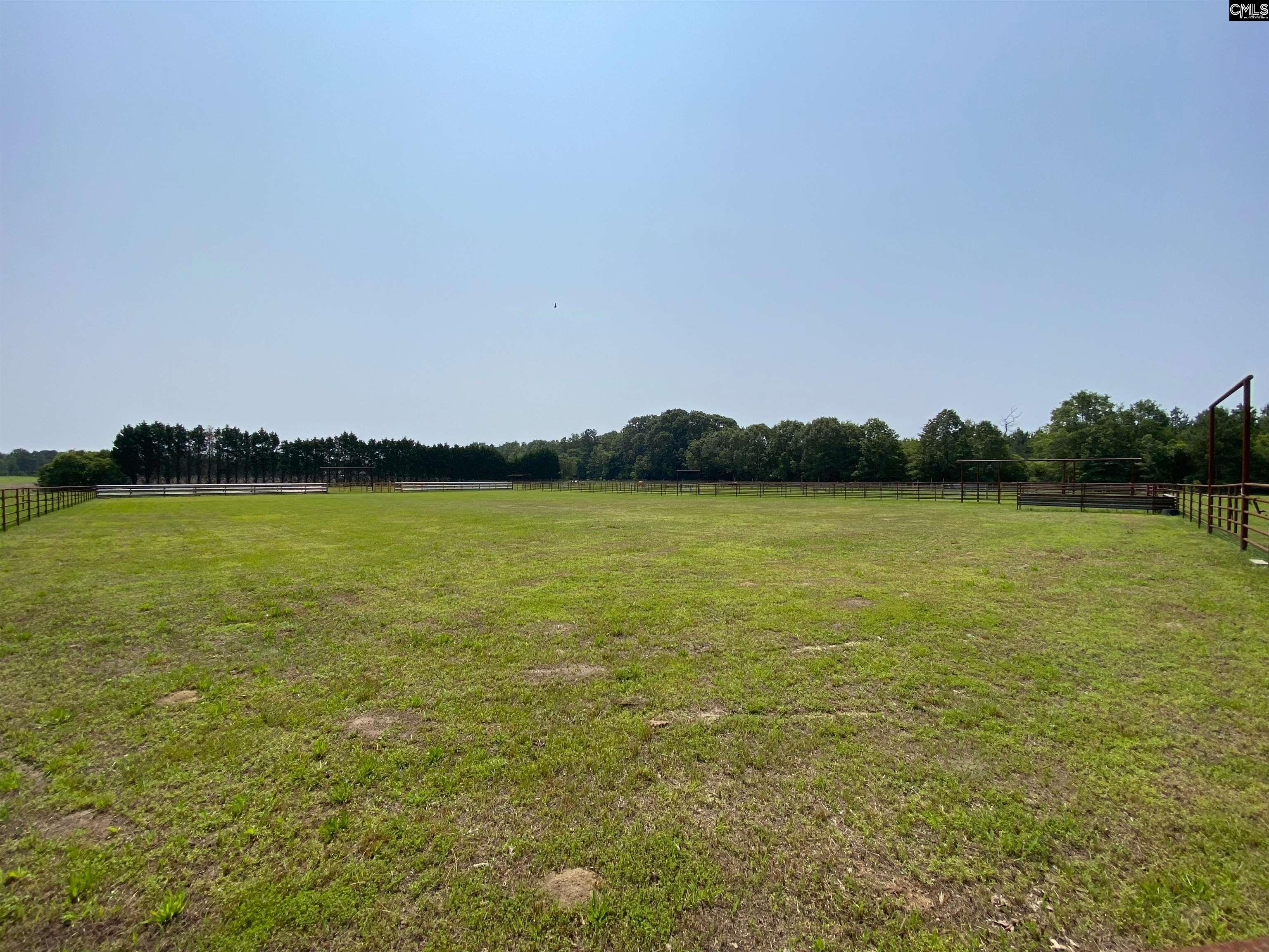 290 Gunter Pond Road, Wagener, South Carolina image 28