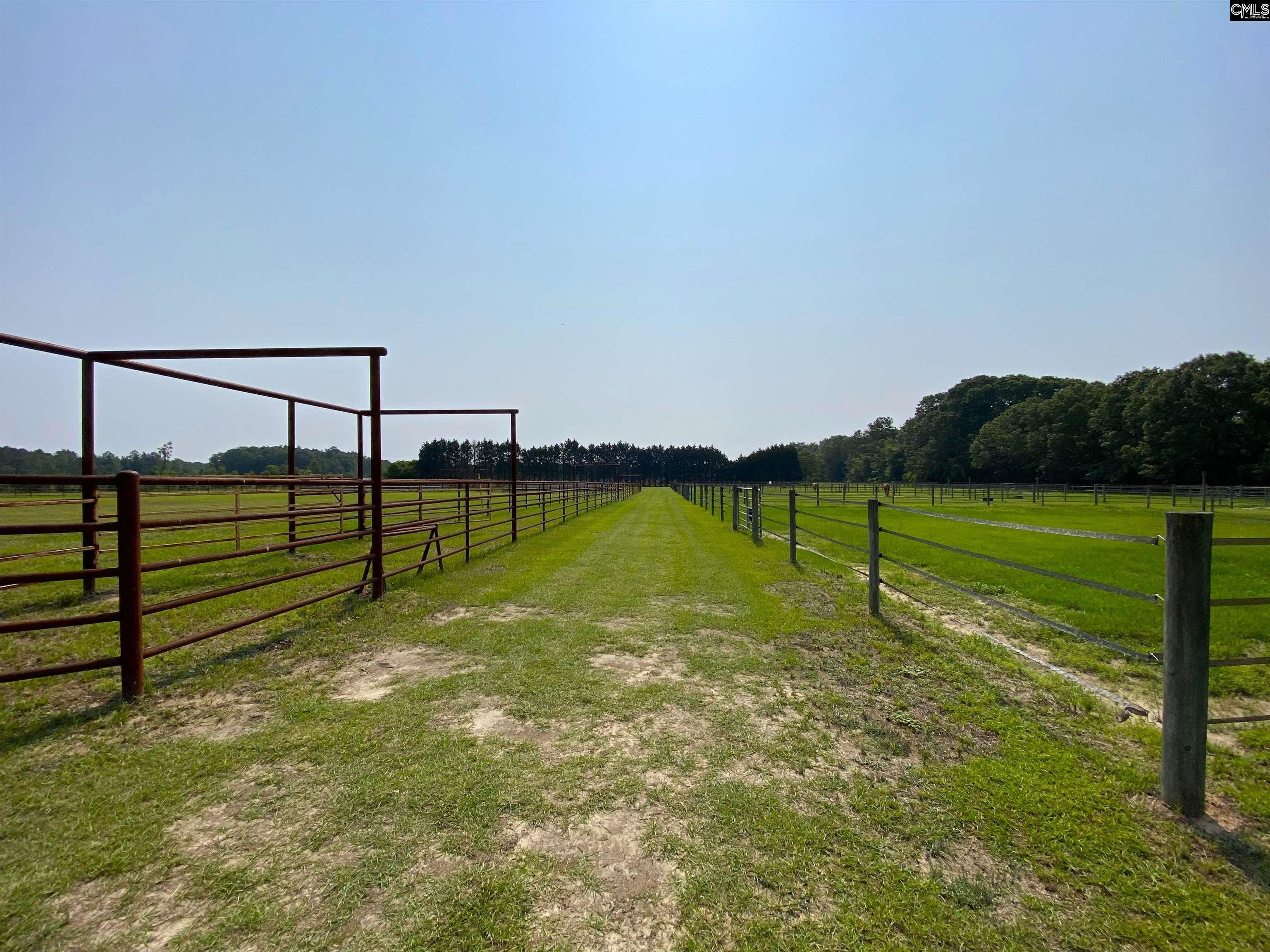 290 Gunter Pond Road, Wagener, South Carolina image 32