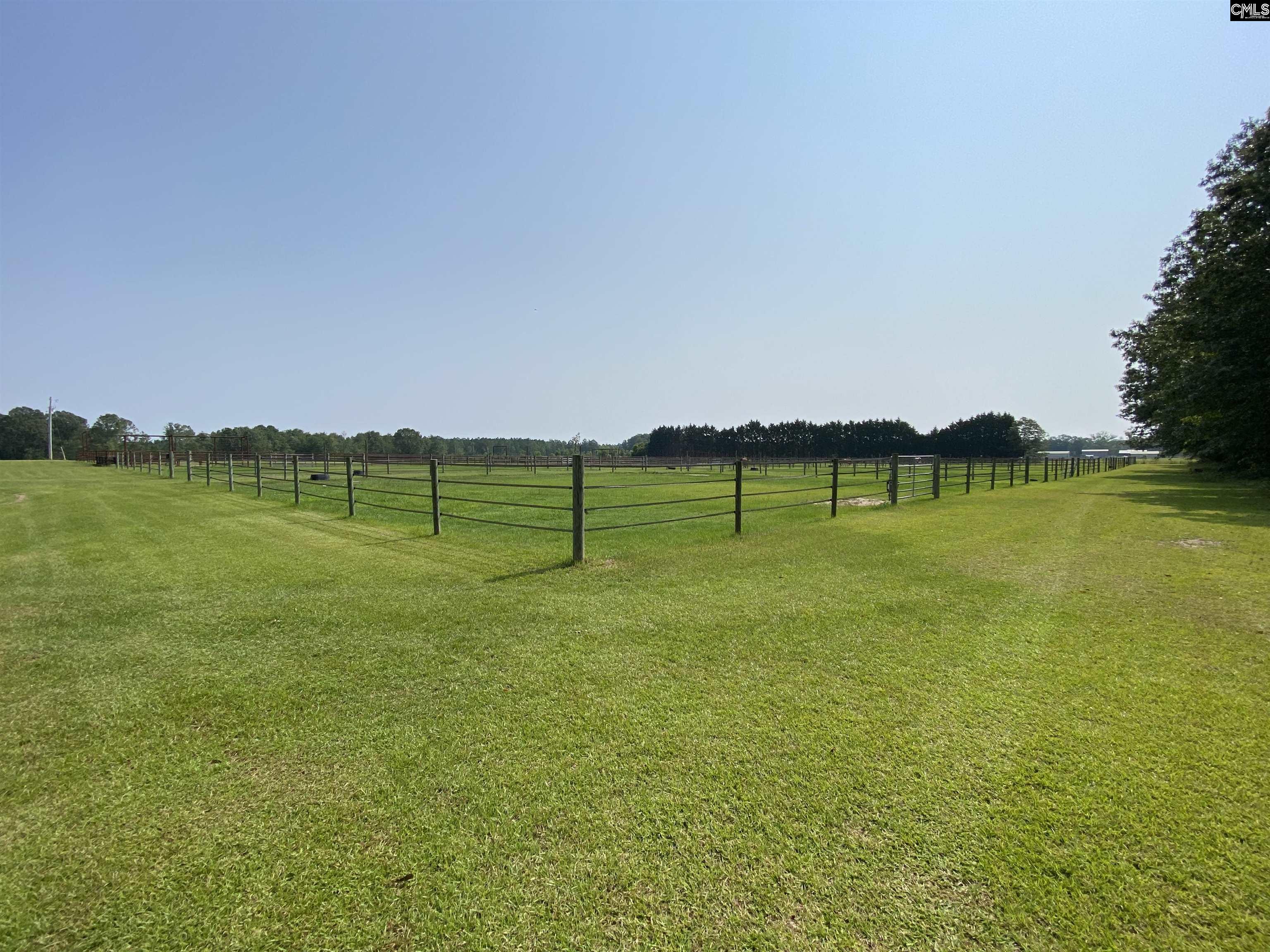 290 Gunter Pond Road, Wagener, South Carolina image 33