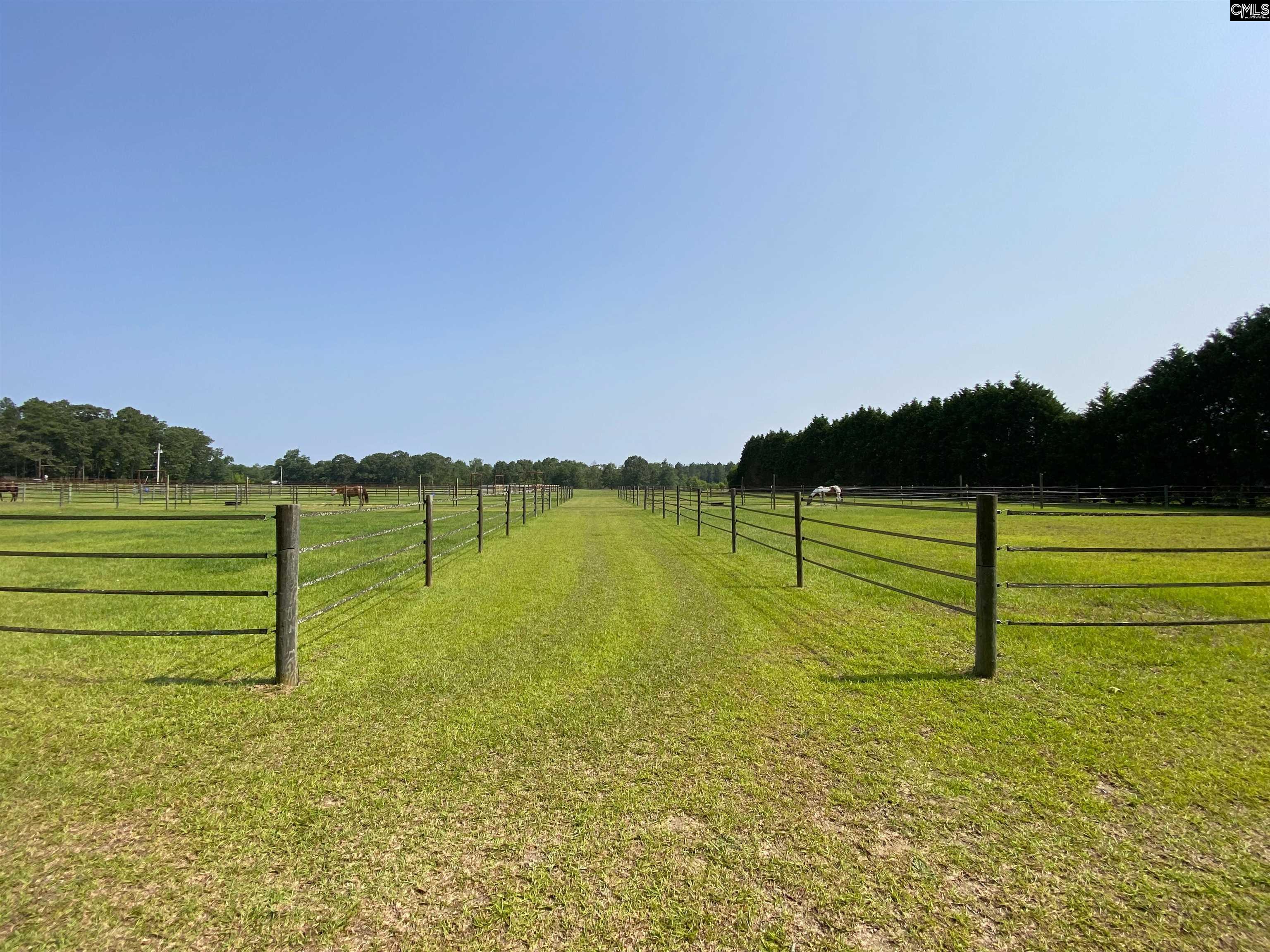 290 Gunter Pond Road, Wagener, South Carolina image 34