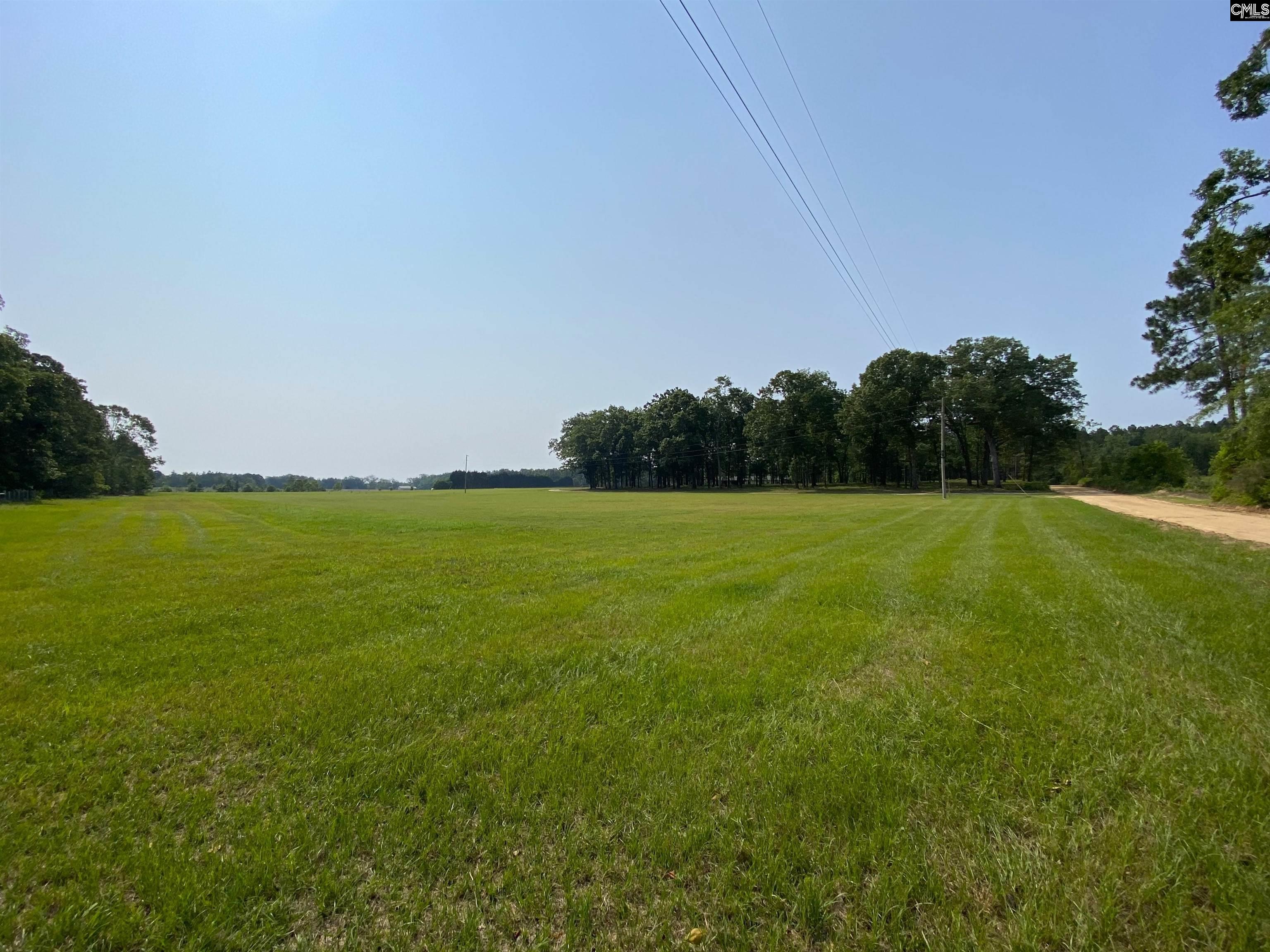 290 Gunter Pond Road, Wagener, South Carolina image 37