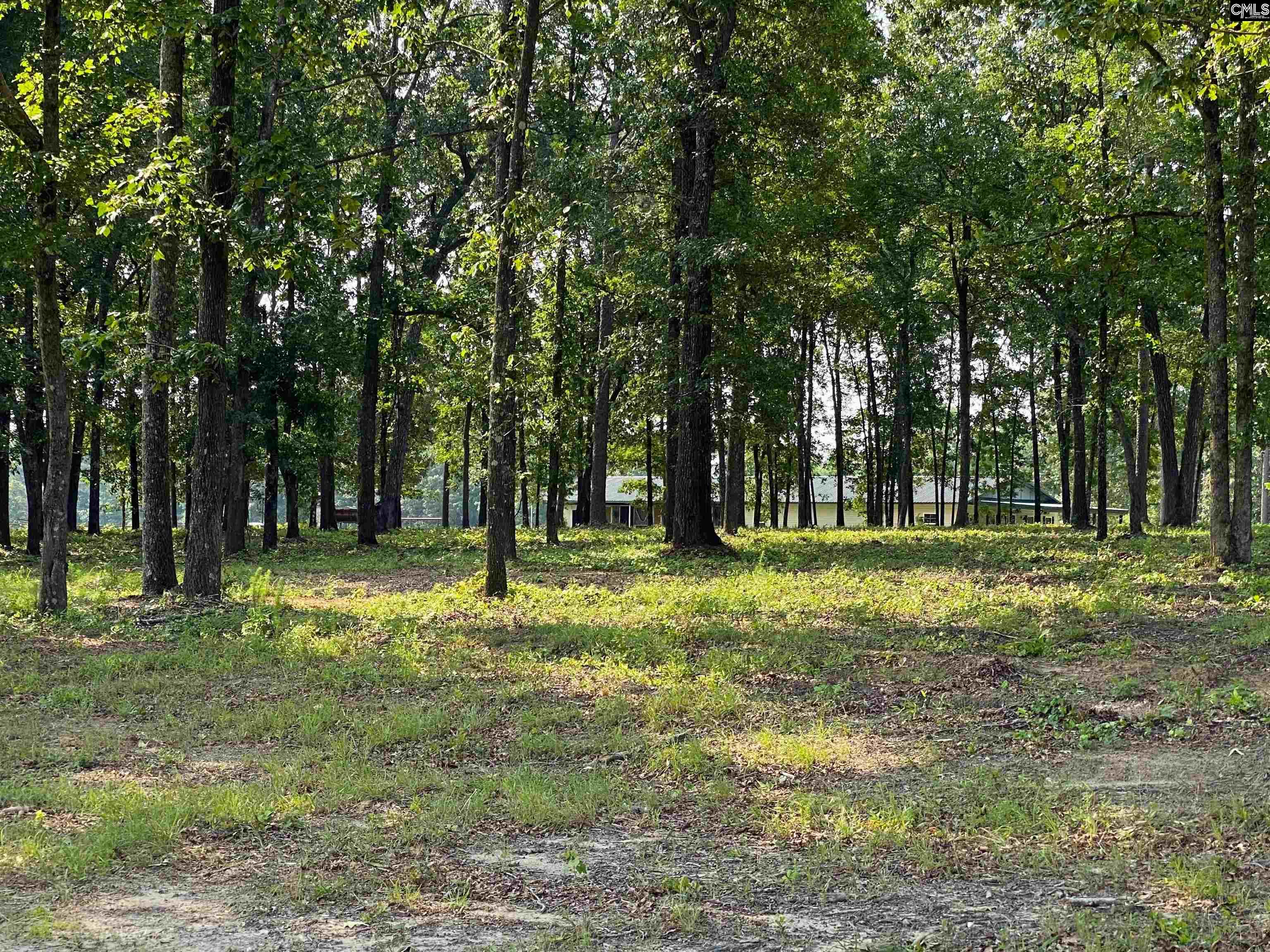 290 Gunter Pond Road, Wagener, South Carolina image 38